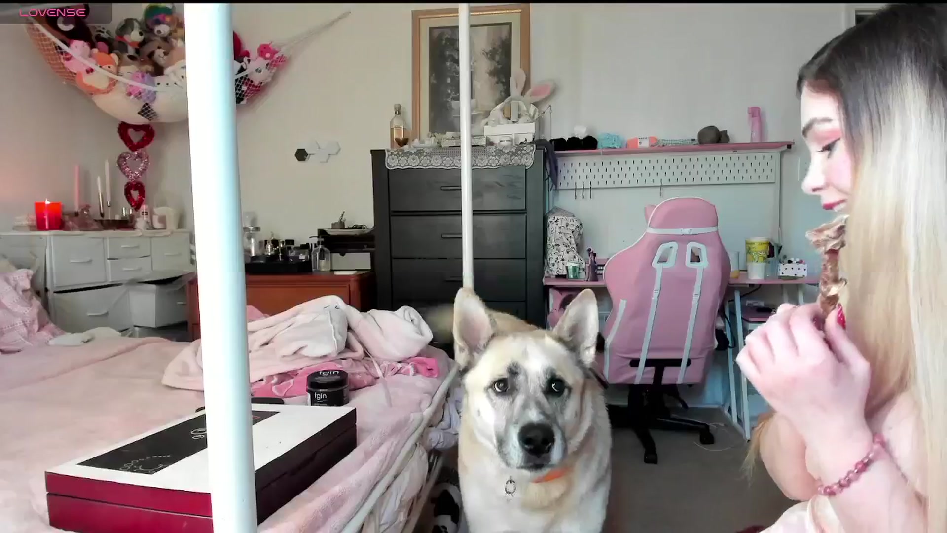 Gallery image thumbnail from lolypopbubble's myfreecams stream on, 02/21/2025, 21:11 image 19 of 20