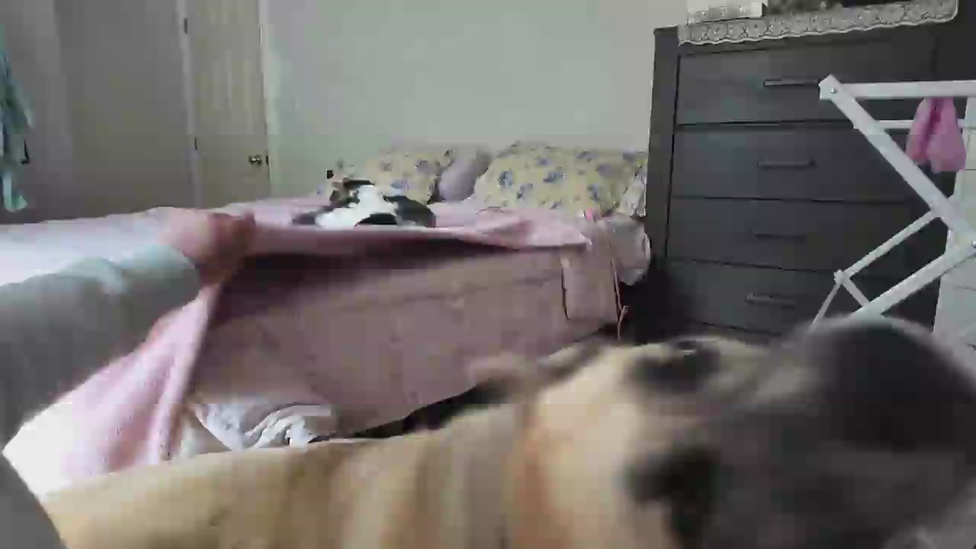 Gallery image thumbnail from lolypopbubble's myfreecams stream on, 06/10/2026, 21:10 image 17 of 20