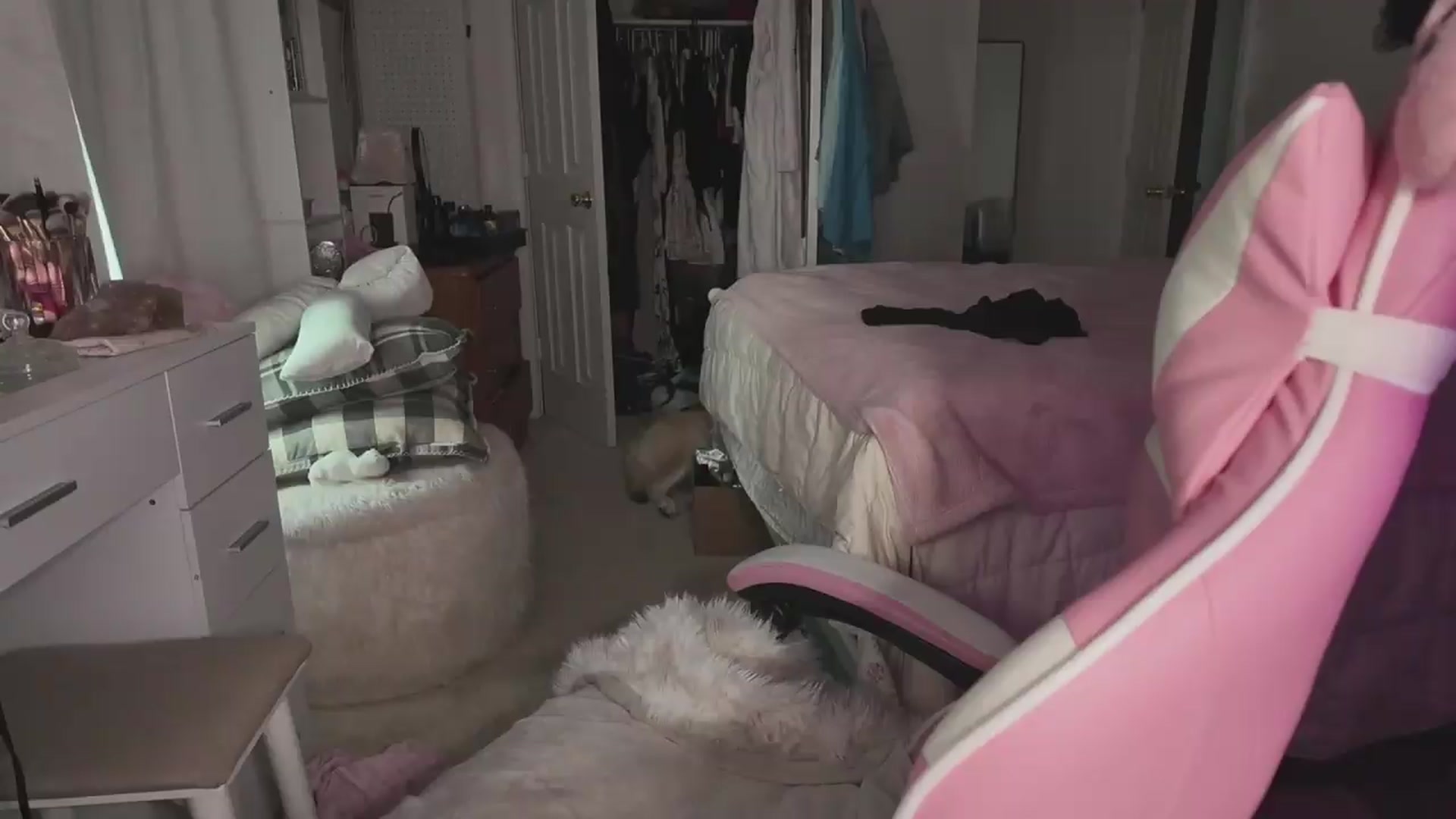 Gallery image thumbnail from lolypopbubble's myfreecams stream on, 08/05/2026, 21:39 image 5 of 20