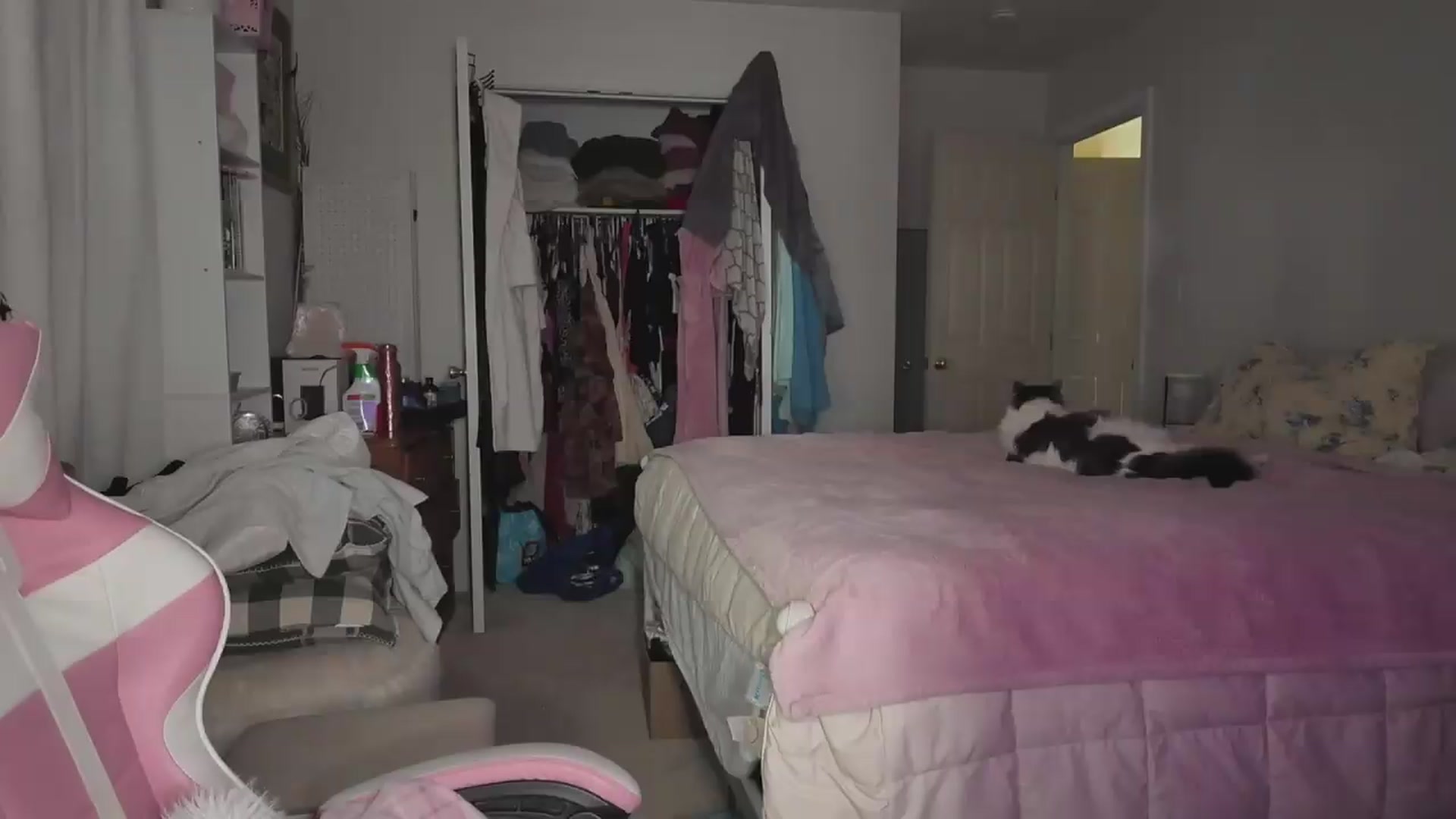Gallery image thumbnail from lolypopbubble's myfreecams stream on, 08/13/2026, 03:09 image 10 of 20