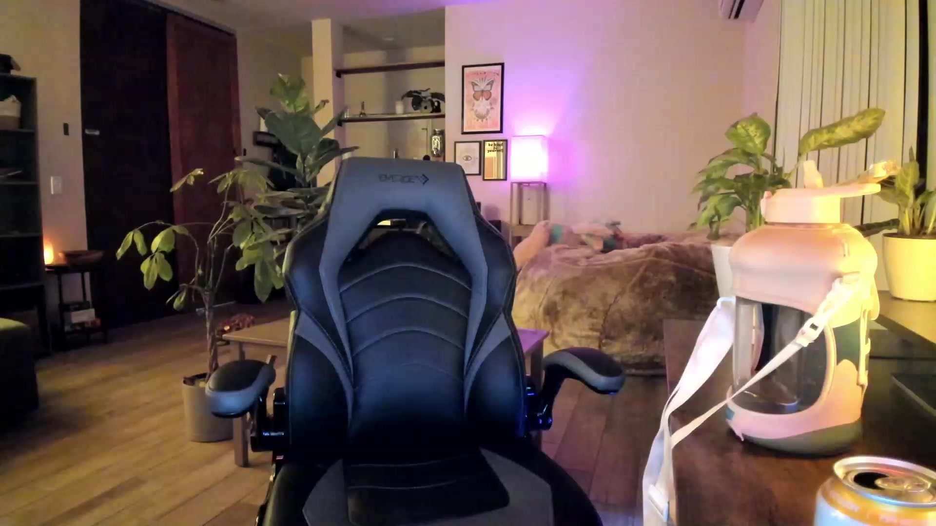 Gallery image thumbnail from lory_babygirl's myfreecams stream on, 11/23/2023, 01:51 image 17 of 20