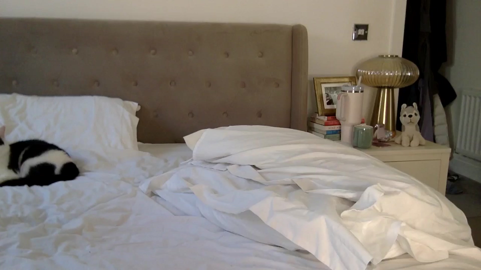 Gallery image thumbnail from louisezus's myfreecams stream on, 04/17/2025, 13:01 image 7 of 20
