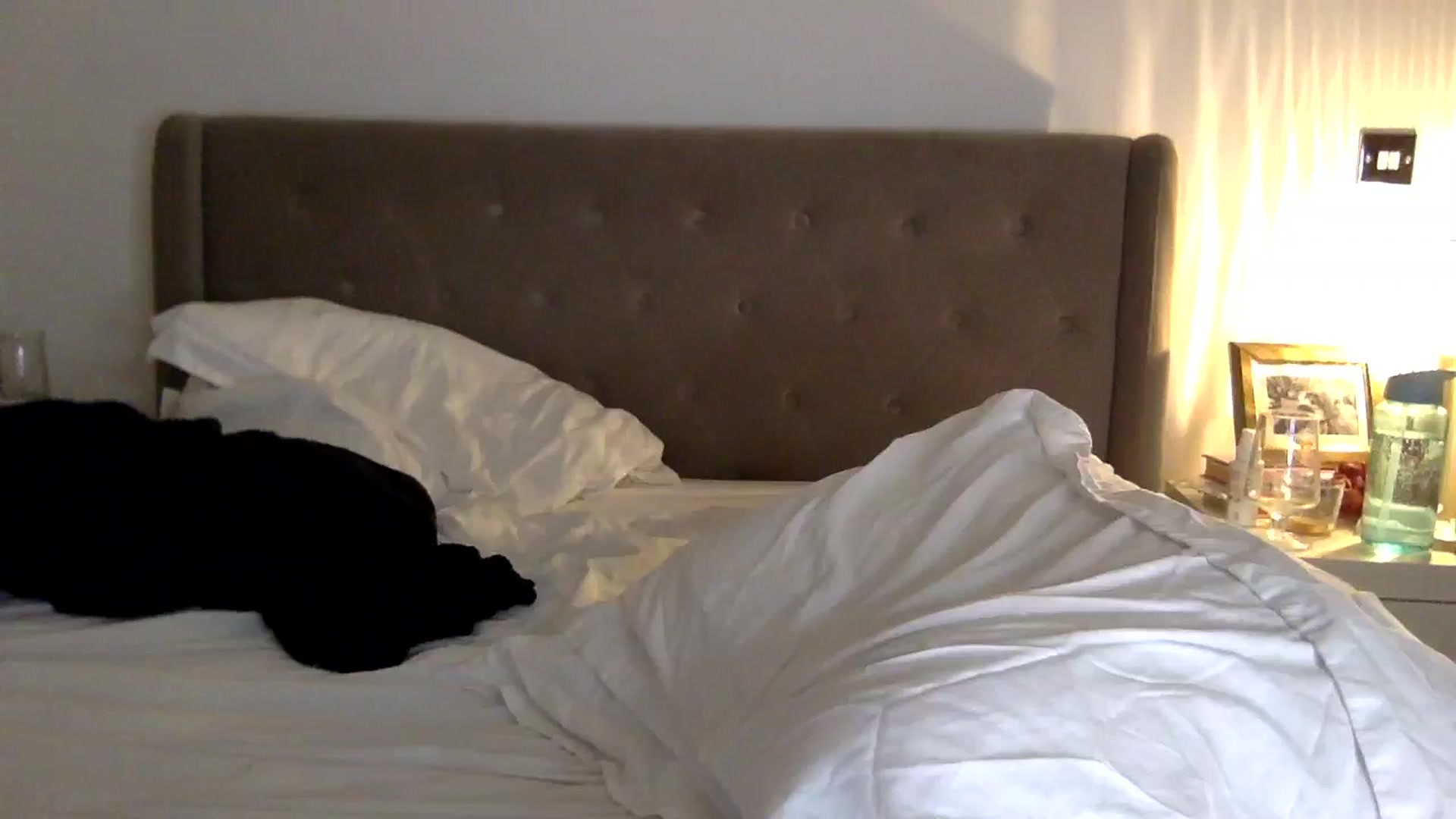 Gallery image thumbnail from louisezus's myfreecams stream on, 05/20/2025, 22:26 image 1 of 20