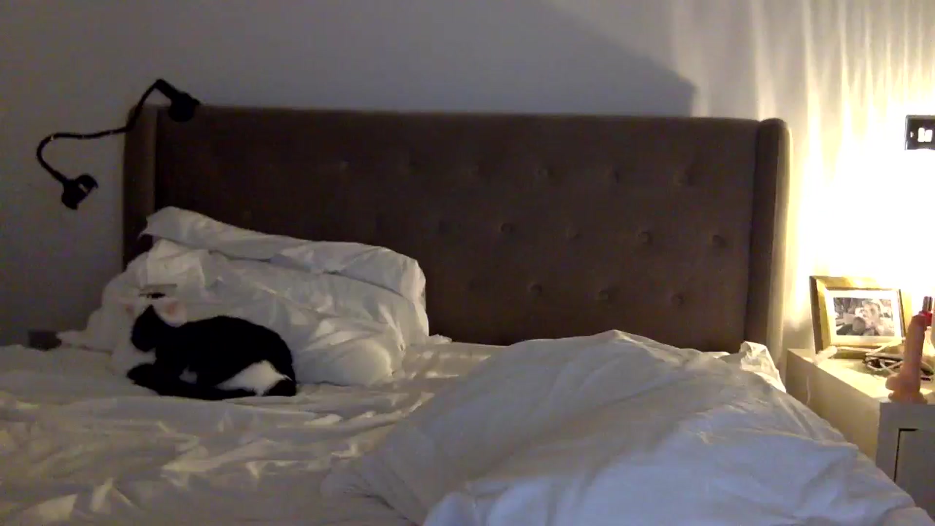 Gallery image thumbnail from louisezus's myfreecams stream on, 08/29/2025, 23:09 image 4 of 20