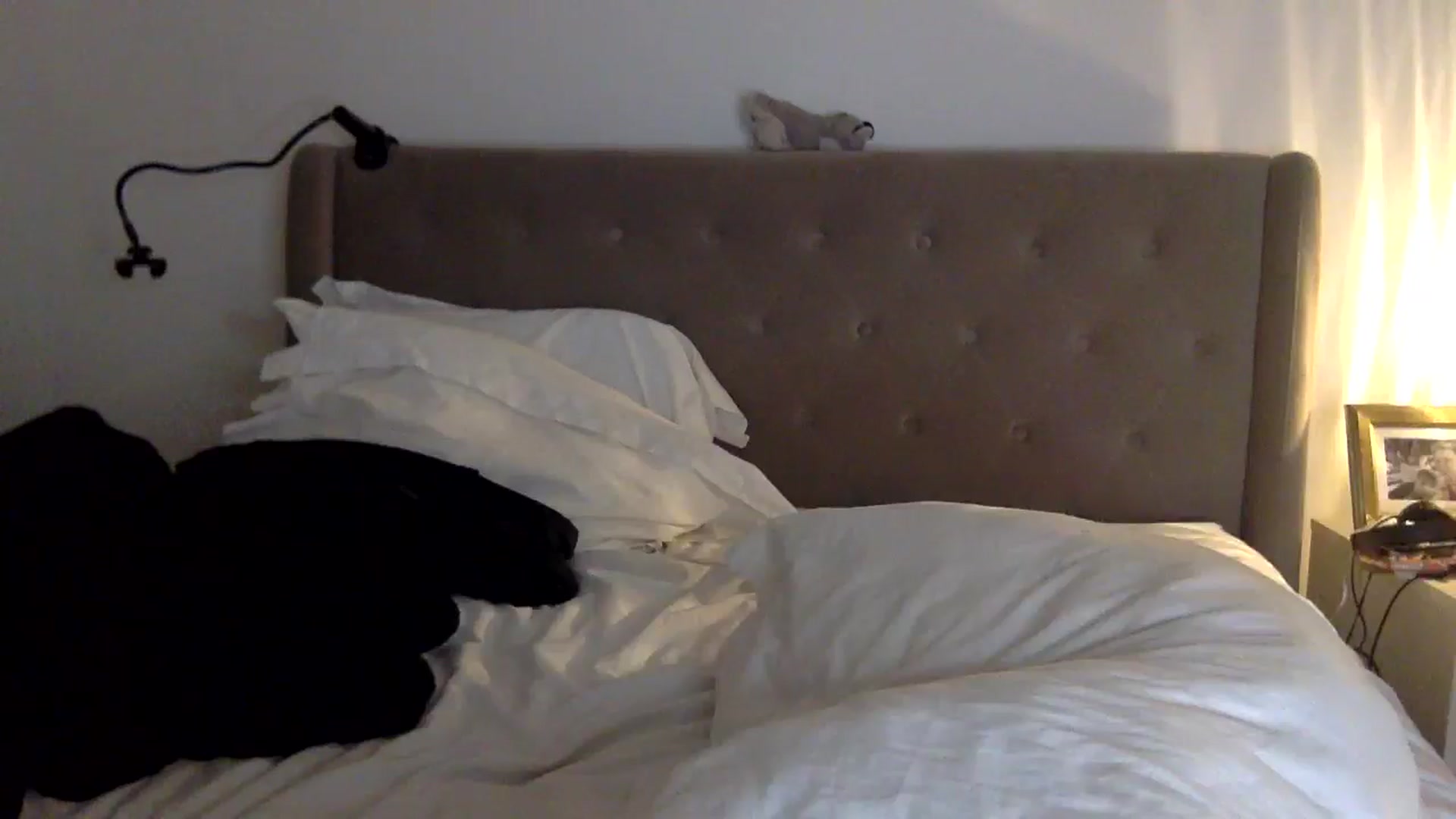Gallery image thumbnail from louisezus's myfreecams stream on, 09/04/2025, 23:46 image 9 of 20