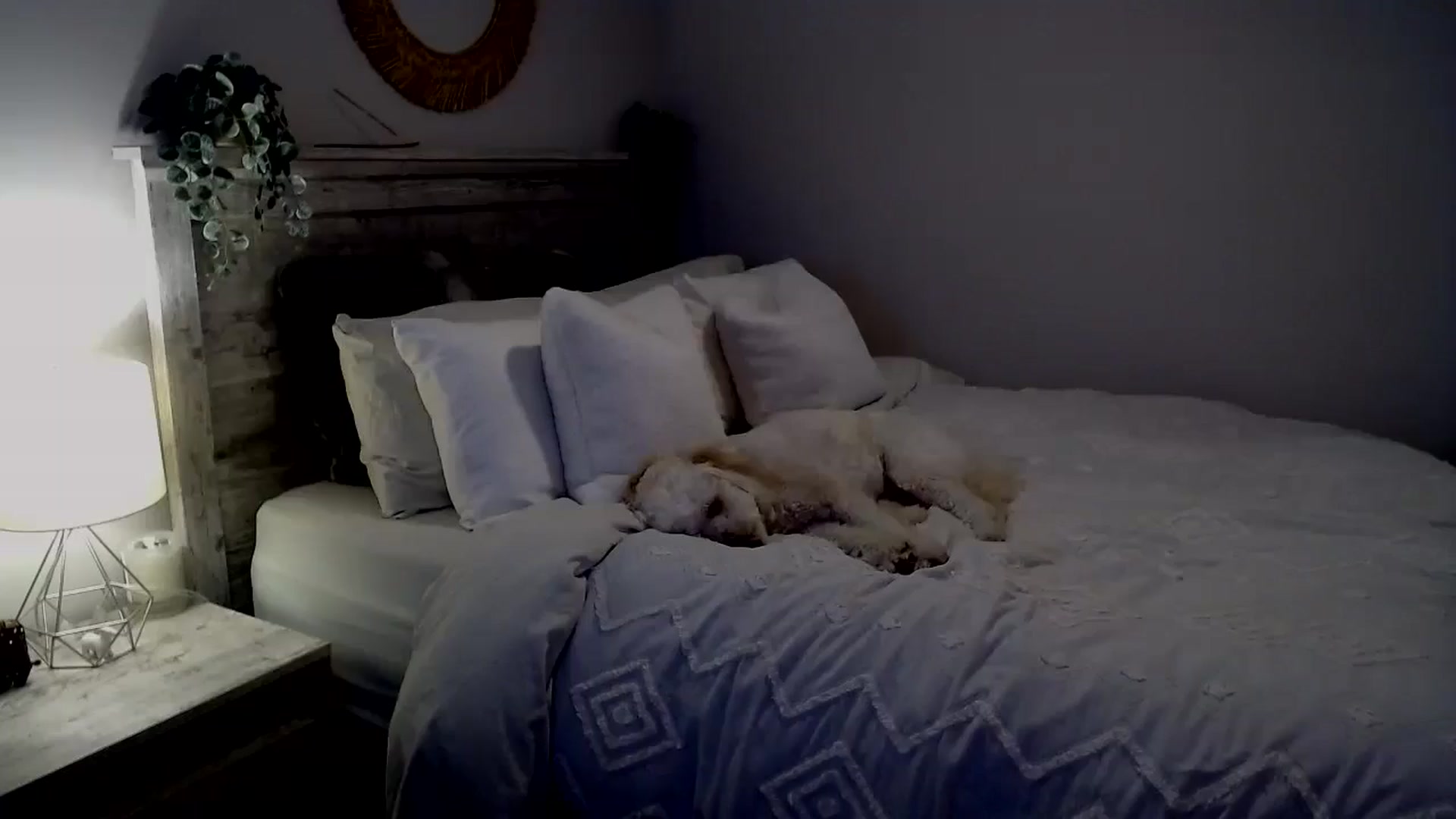 Gallery image thumbnail from lovemedaisy's myfreecams stream on, 09/14/2025, 10:07 image 10 of 20