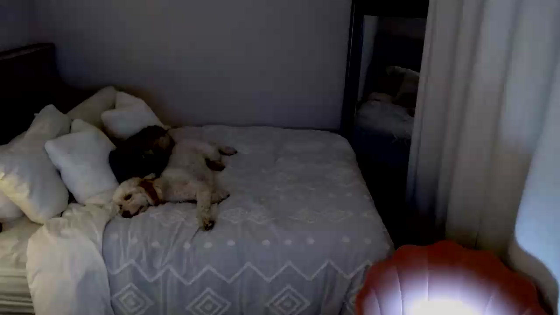 Gallery image thumbnail from lovemedaisy's myfreecams stream on, 09/13/2026, 07:43 image 19 of 20
