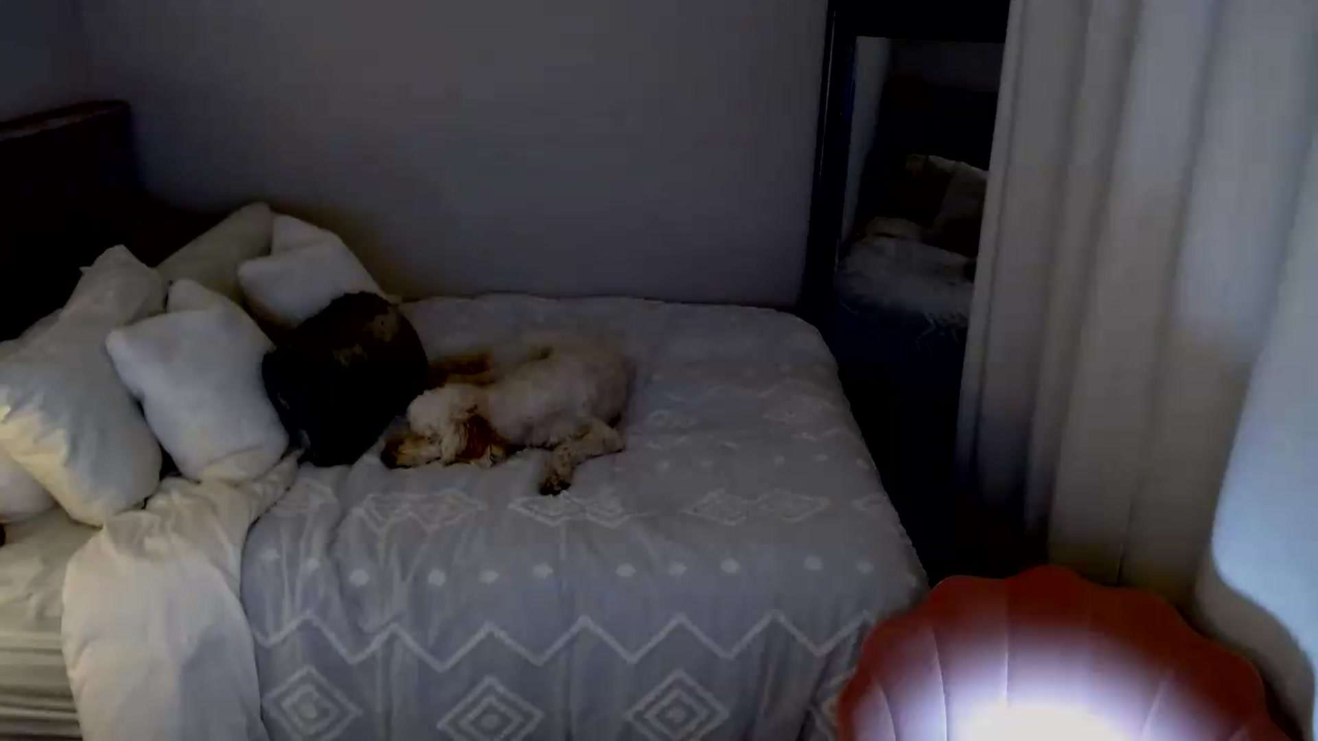 Gallery image thumbnail from lovemedaisy's myfreecams stream on, 09/13/2026, 07:43 image 18 of 20