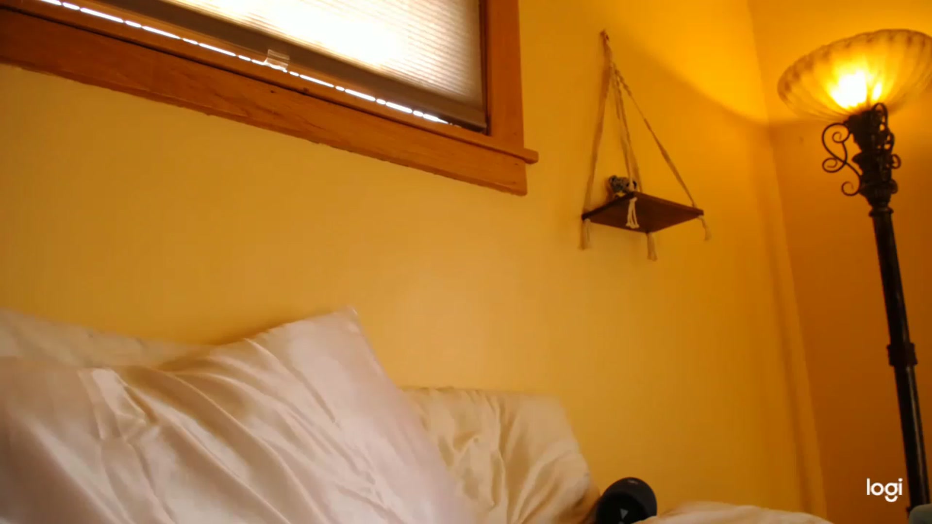 Gallery image thumbnail from luabelle's myfreecams stream on, 11/22/2022, 18:24 image 3 of 20