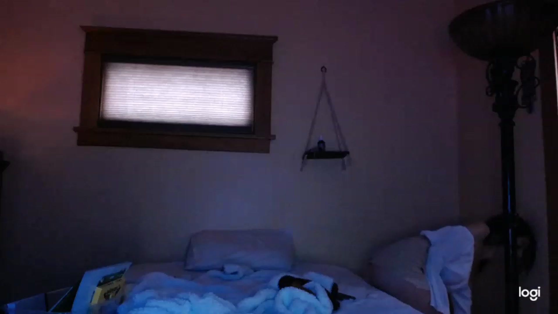 Gallery image thumbnail from luabelle's myfreecams stream on, 12/07/2022, 20:43 image 7 of 20