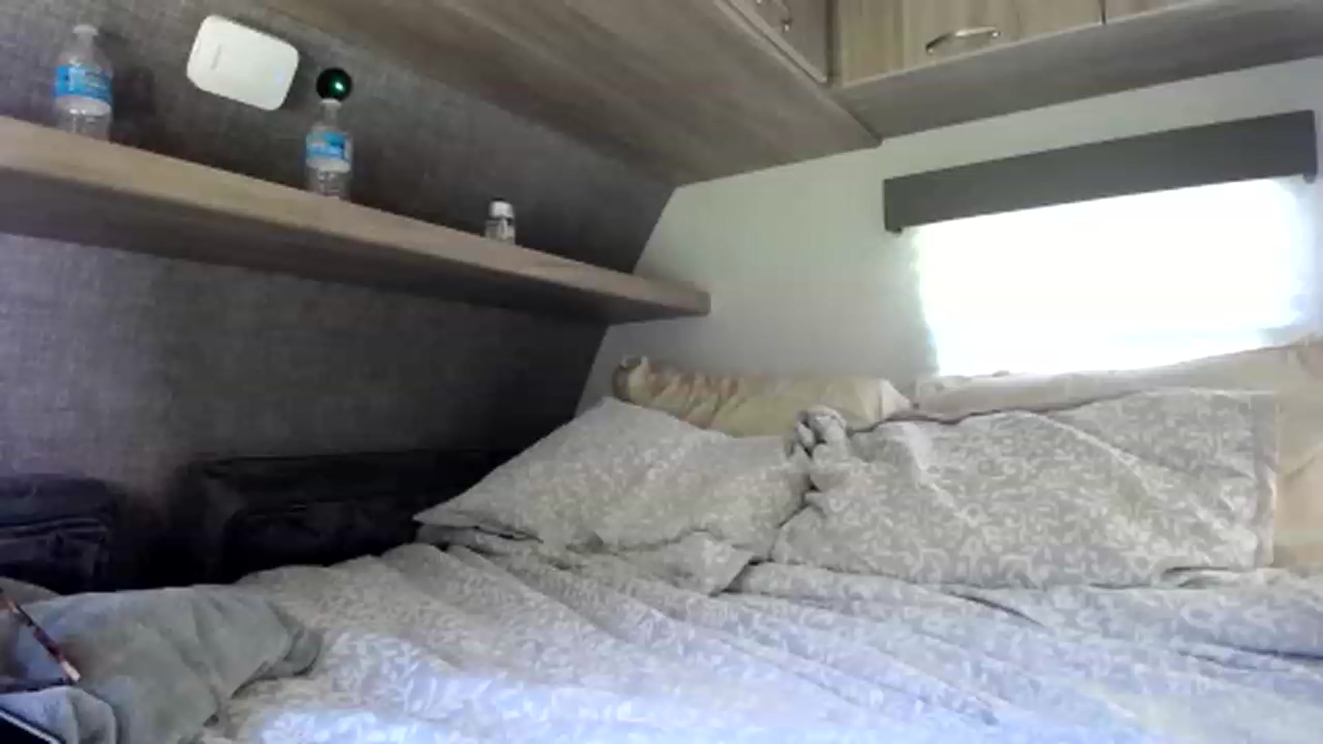 Gallery image thumbnail from luabelle's myfreecams stream on, 06/02/2023, 16:38 image 17 of 20