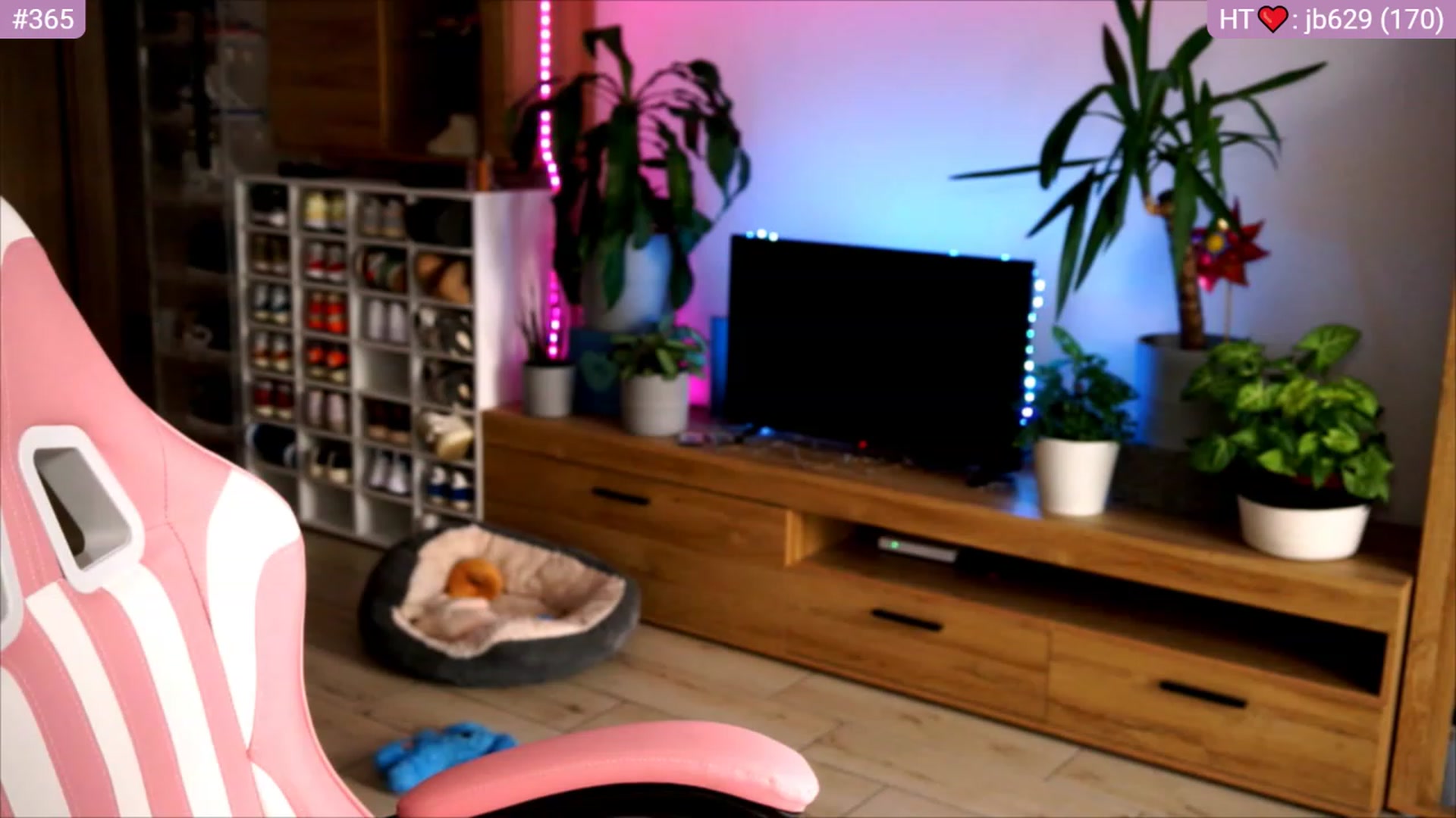 Gallery image thumbnail from lucynutty's myfreecams stream on, 06/27/2023, 09:00 image 14 of 20