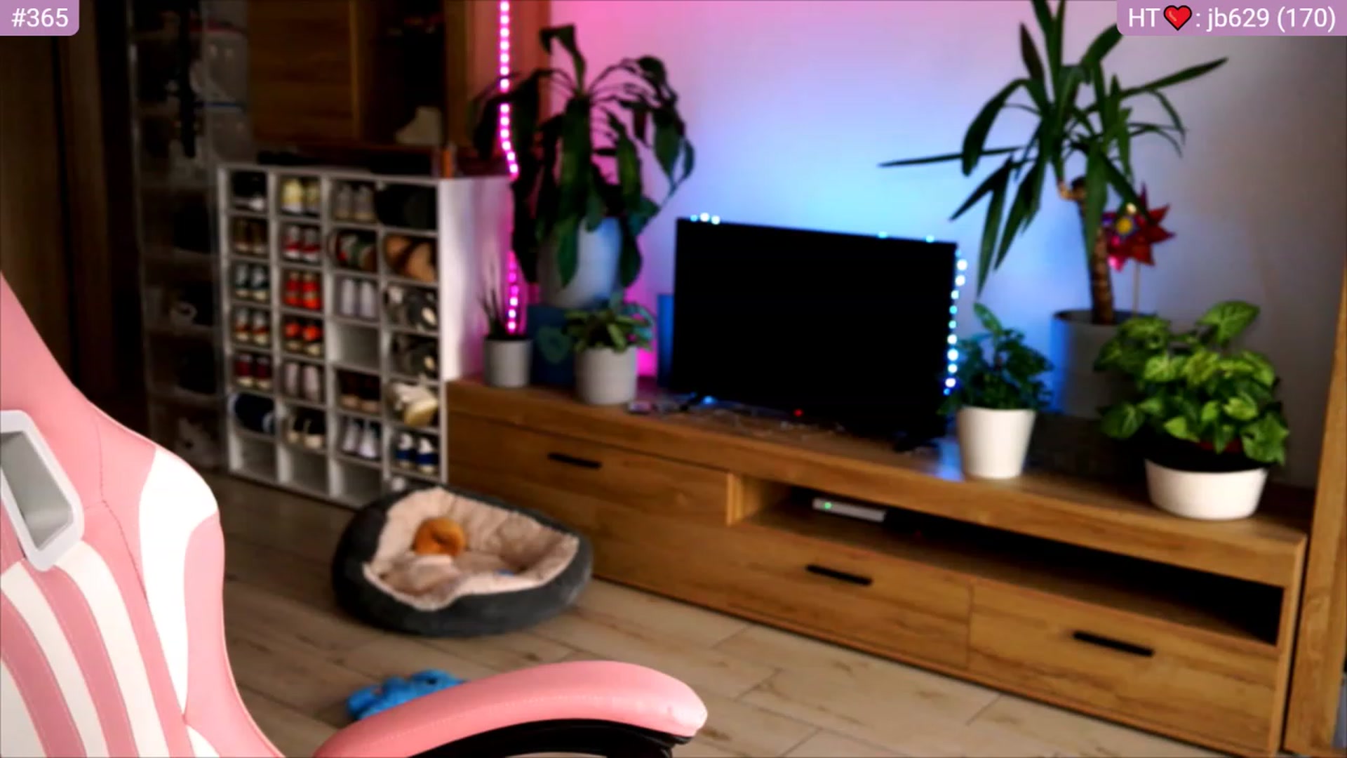 Gallery image thumbnail from lucynutty's myfreecams stream on, 06/27/2023, 09:00 image 7 of 20