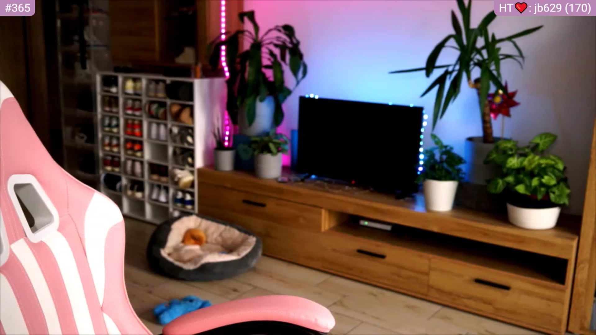 Gallery image thumbnail from lucynutty's myfreecams stream on, 06/27/2023, 09:00 image 13 of 20
