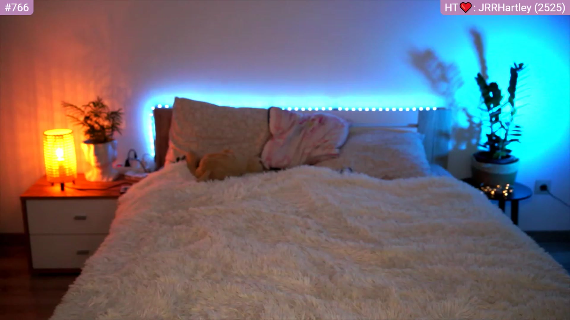 Gallery image thumbnail from lucynutty's myfreecams stream on, 07/16/2023, 15:40 image 18 of 20