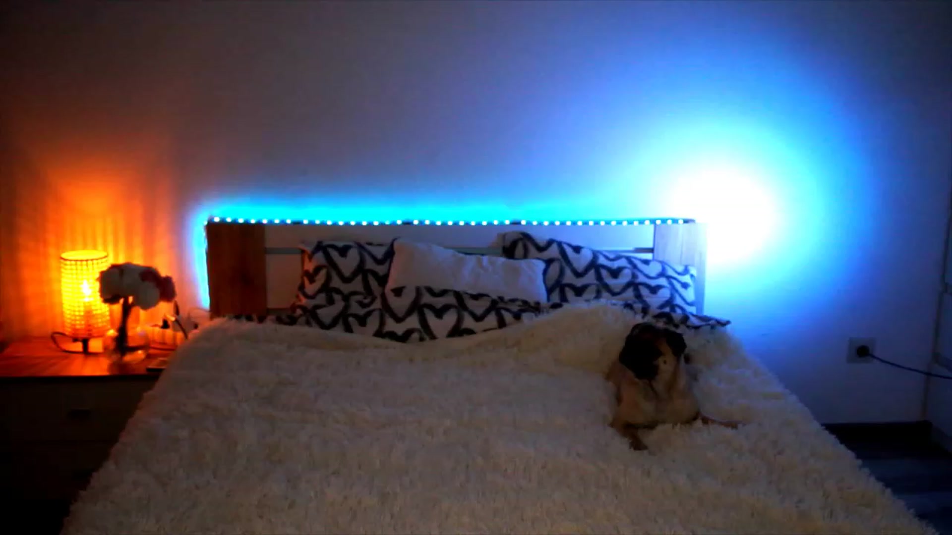 Gallery image thumbnail from lucynutty's myfreecams stream on, 08/01/2023, 08:05 image 4 of 20