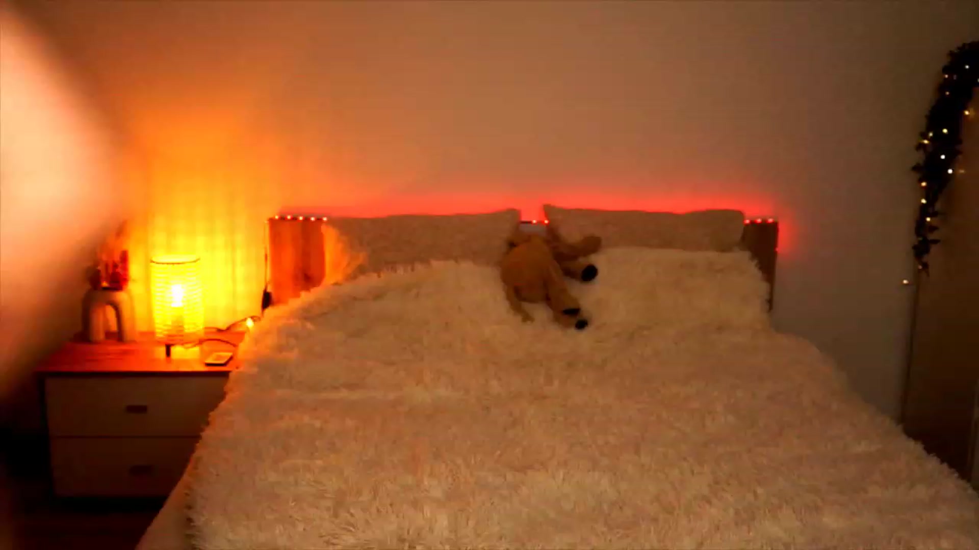Gallery image thumbnail from lucynutty's myfreecams stream on, 08/09/2023, 19:36 image 4 of 20