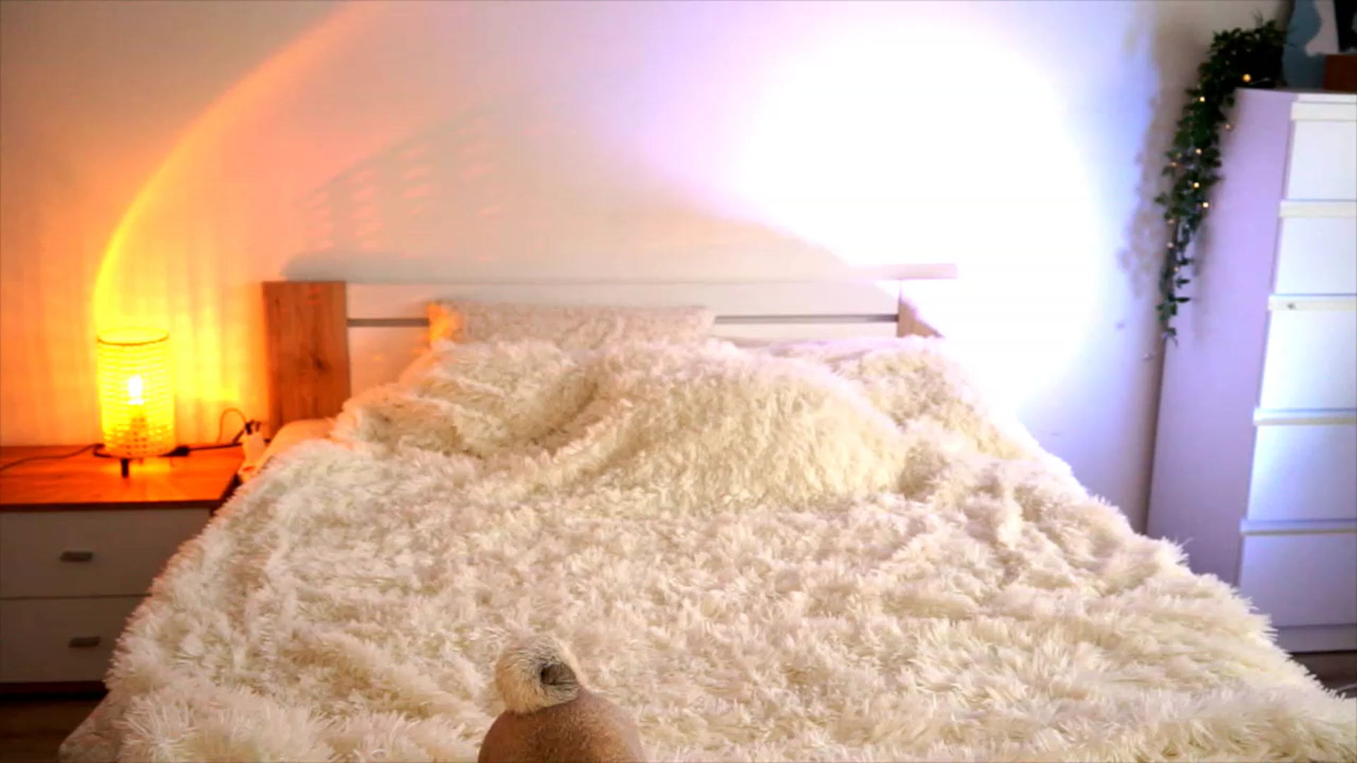 Gallery image thumbnail from lucynutty's myfreecams stream on, 08/17/2023, 13:21 image 19 of 20