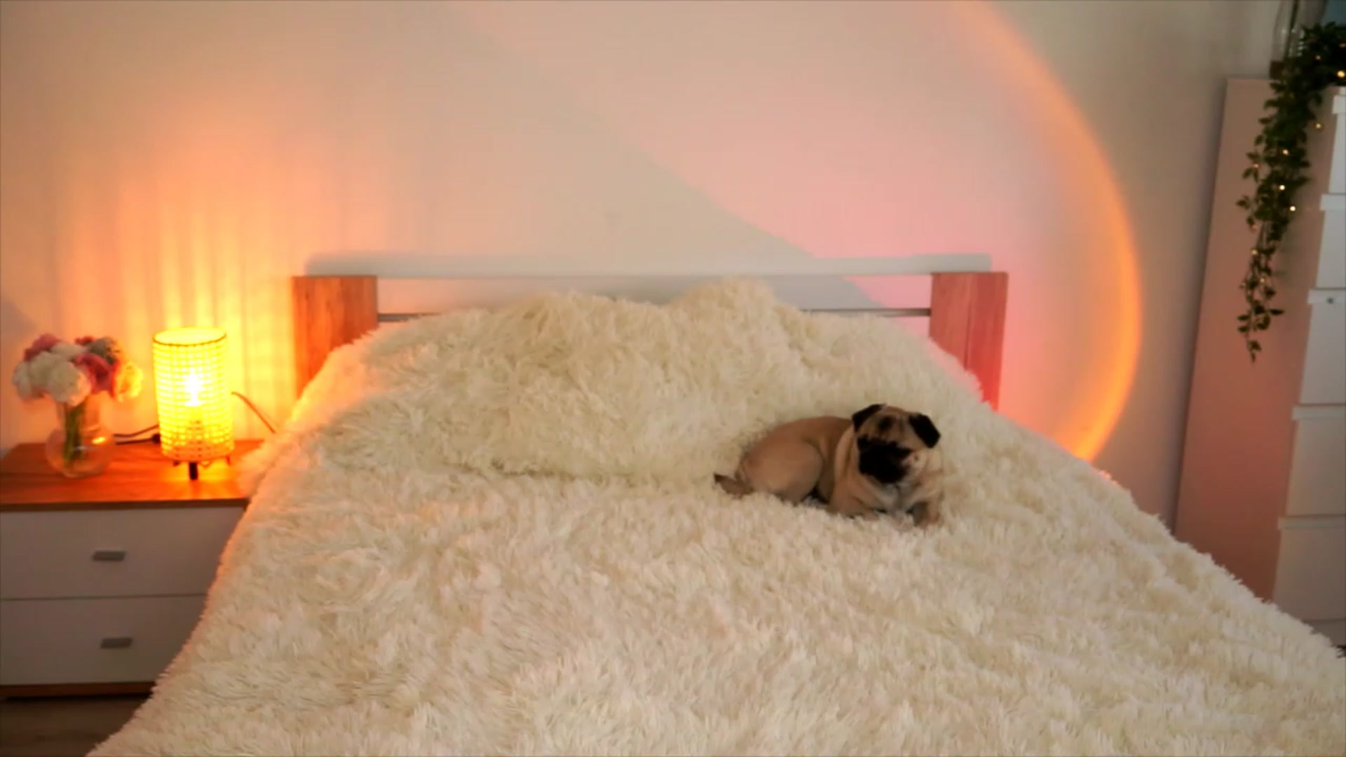 Gallery image thumbnail from lucynutty's myfreecams stream on, 08/22/2023, 10:22 image 7 of 20