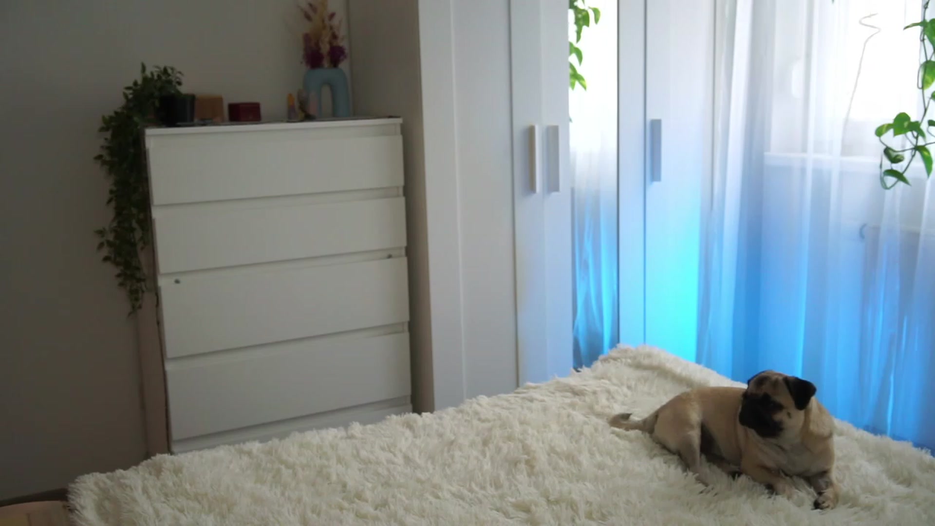 Gallery image thumbnail from lucynutty's myfreecams stream on, 09/19/2023, 09:54 image 5 of 20