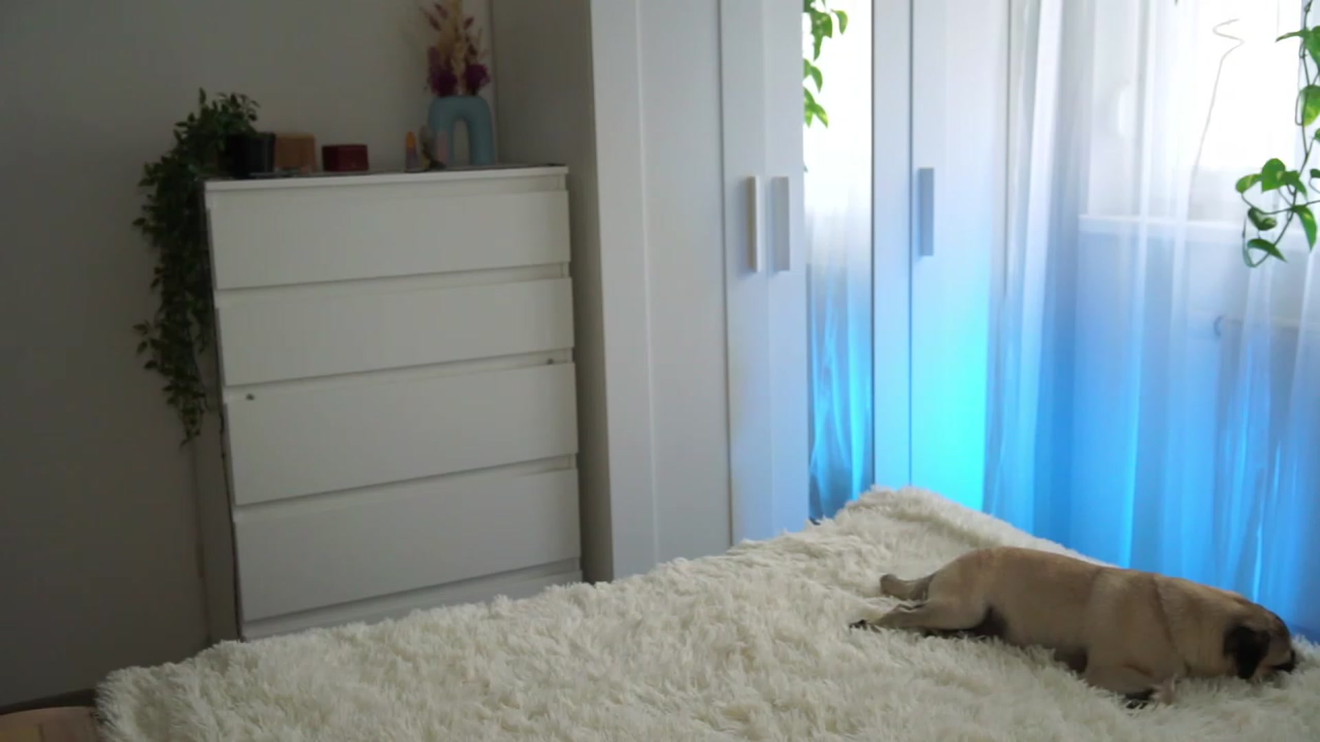 Gallery image thumbnail from lucynutty's myfreecams stream on, 09/19/2023, 09:54 image 7 of 20