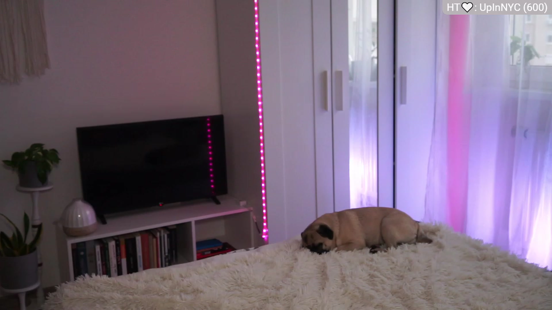 Gallery image thumbnail from lucynutty's myfreecams stream on, 12/10/2023, 14:18 image 1 of 20