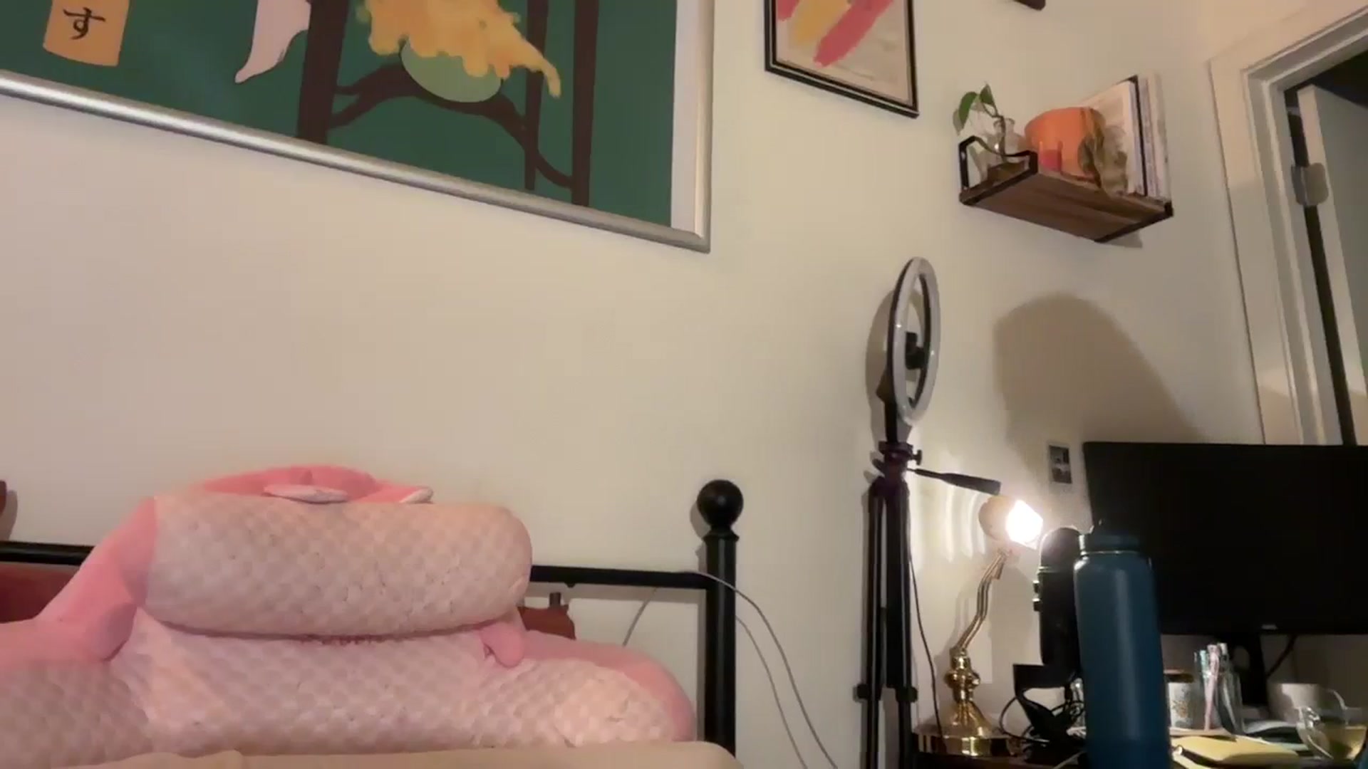 Gallery image thumbnail from luna_tsukiko's myfreecams stream on, 04/01/2024, 01:13 image 13 of 20