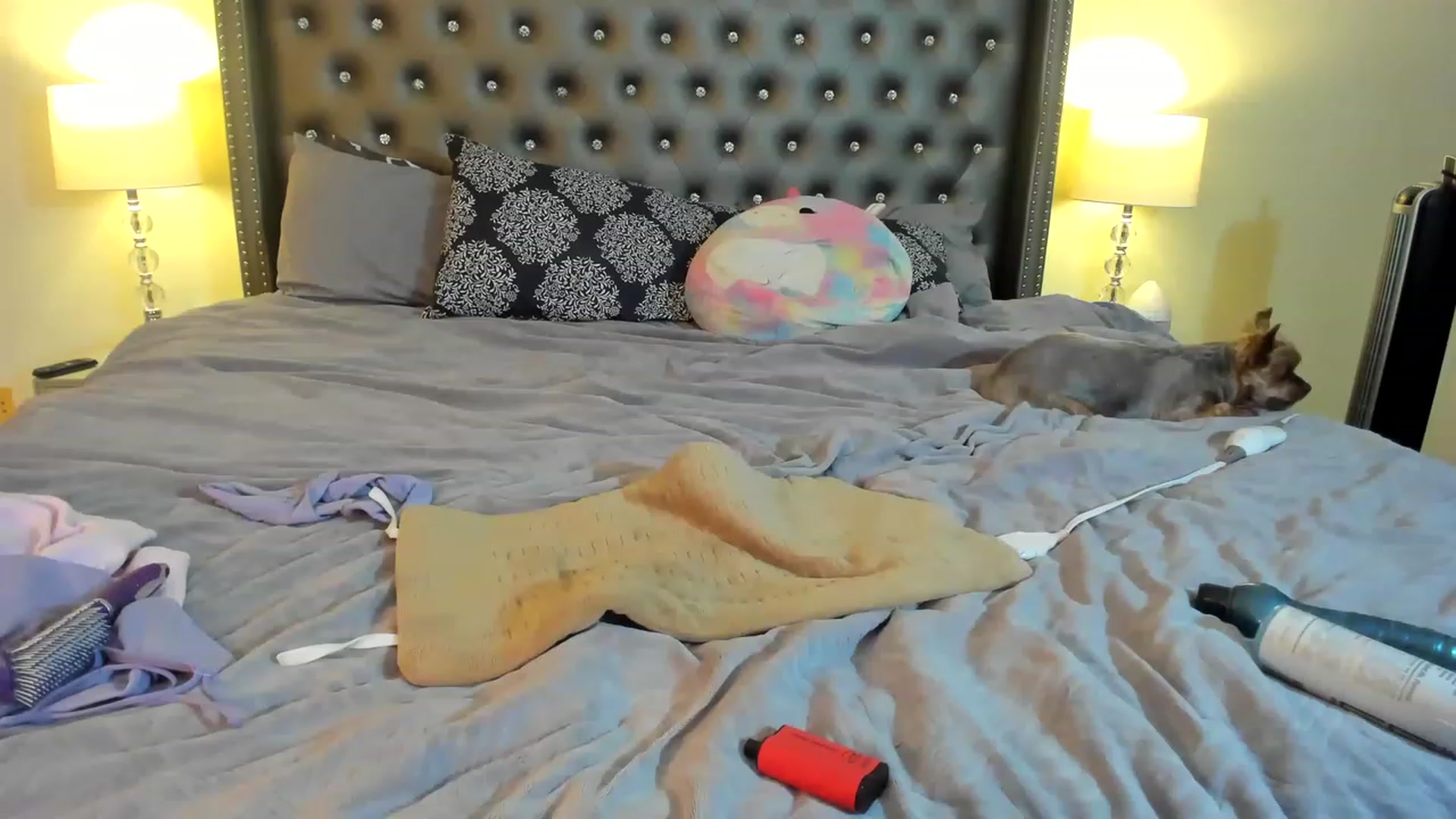 Gallery image thumbnail from lyllla's myfreecams stream on, 11/18/2022, 02:49 image 10 of 20