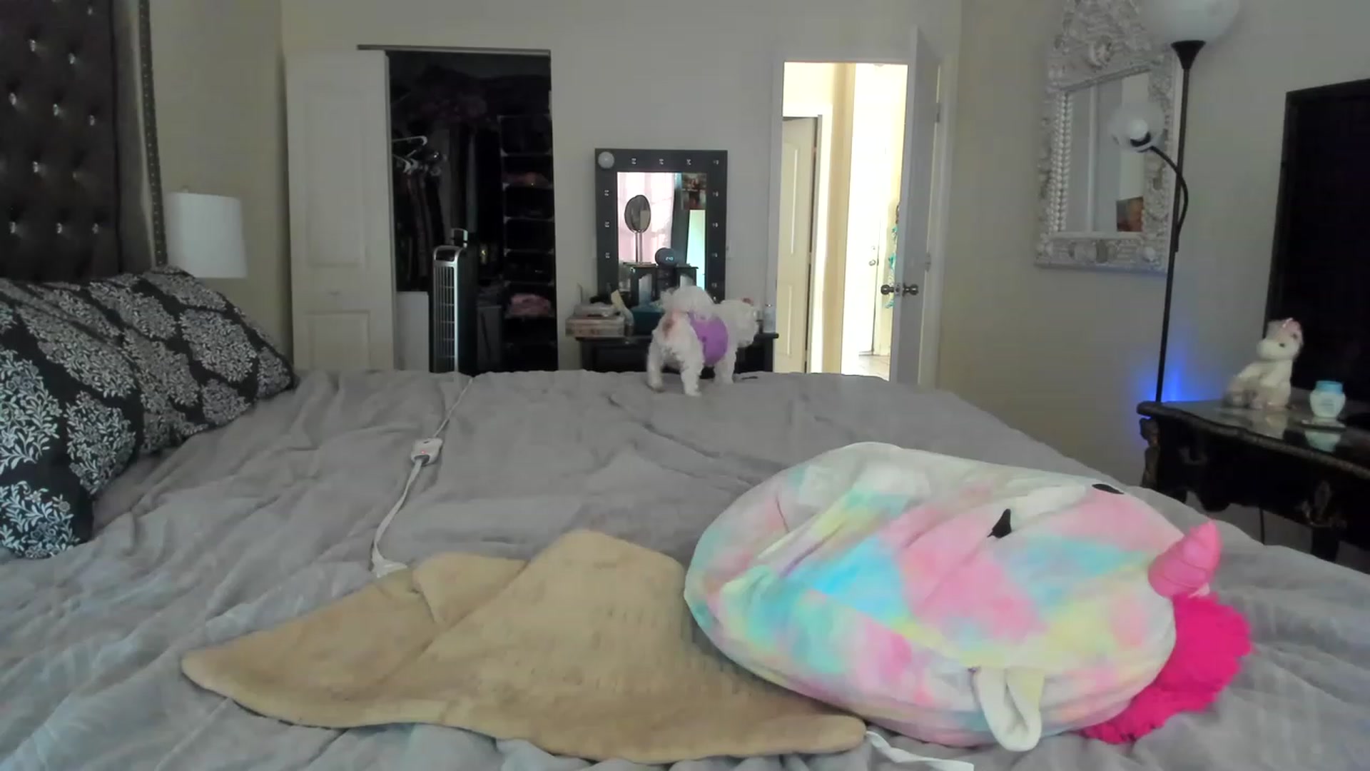 Gallery image thumbnail from lyllla's myfreecams stream on, 11/26/2022, 19:51 image 17 of 20