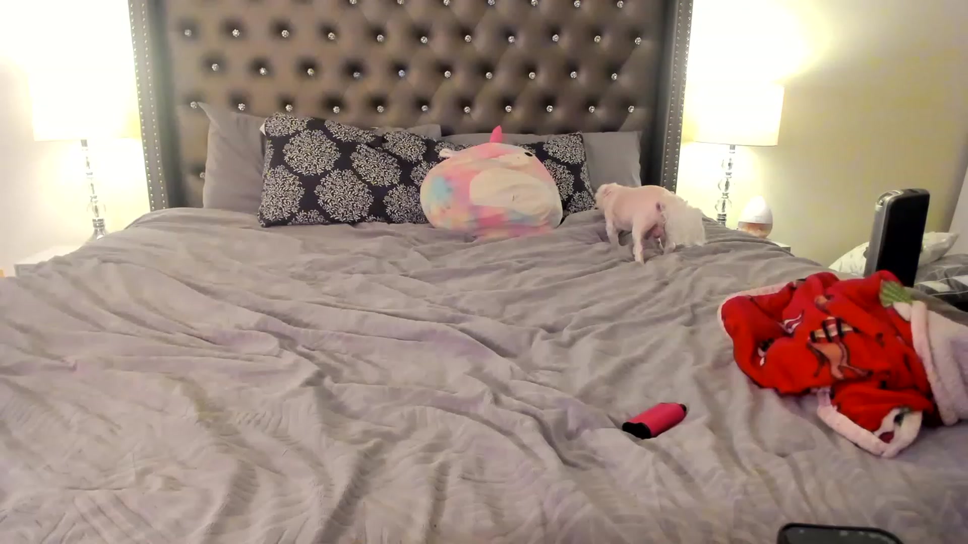 Gallery image thumbnail from lyllla's myfreecams stream on, 12/31/2022, 21:09 image 2 of 20
