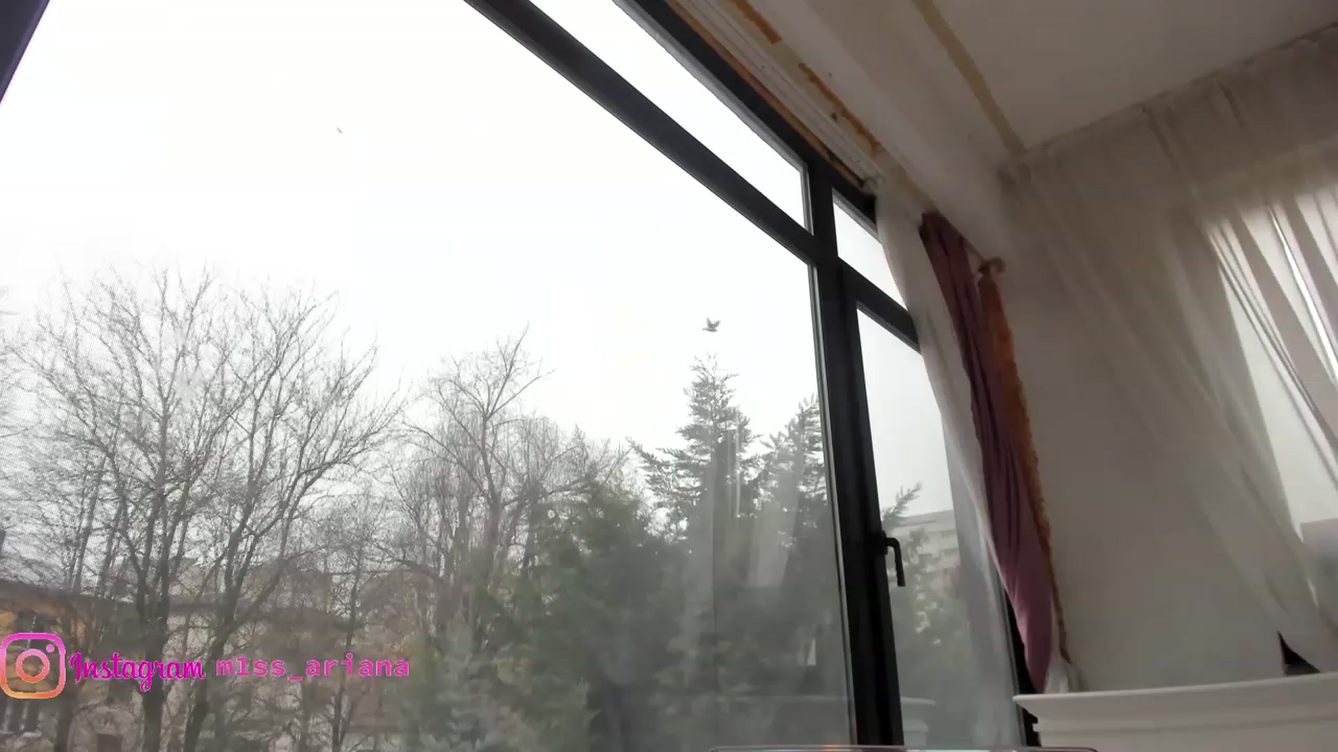 Gallery image thumbnail from m1ss_Ariana's myfreecams stream on, 01/13/2023, 13:11 image 13 of 20