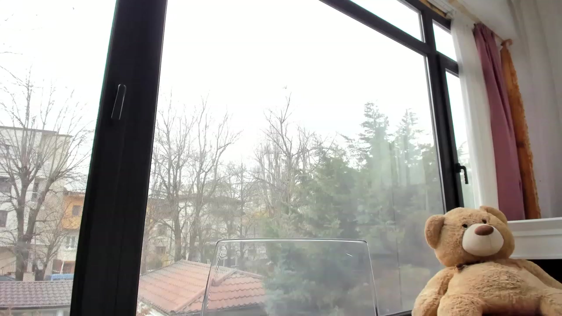 Gallery image thumbnail from m1ss_Ariana's myfreecams stream on, 02/24/2023, 12:05 image 5 of 20