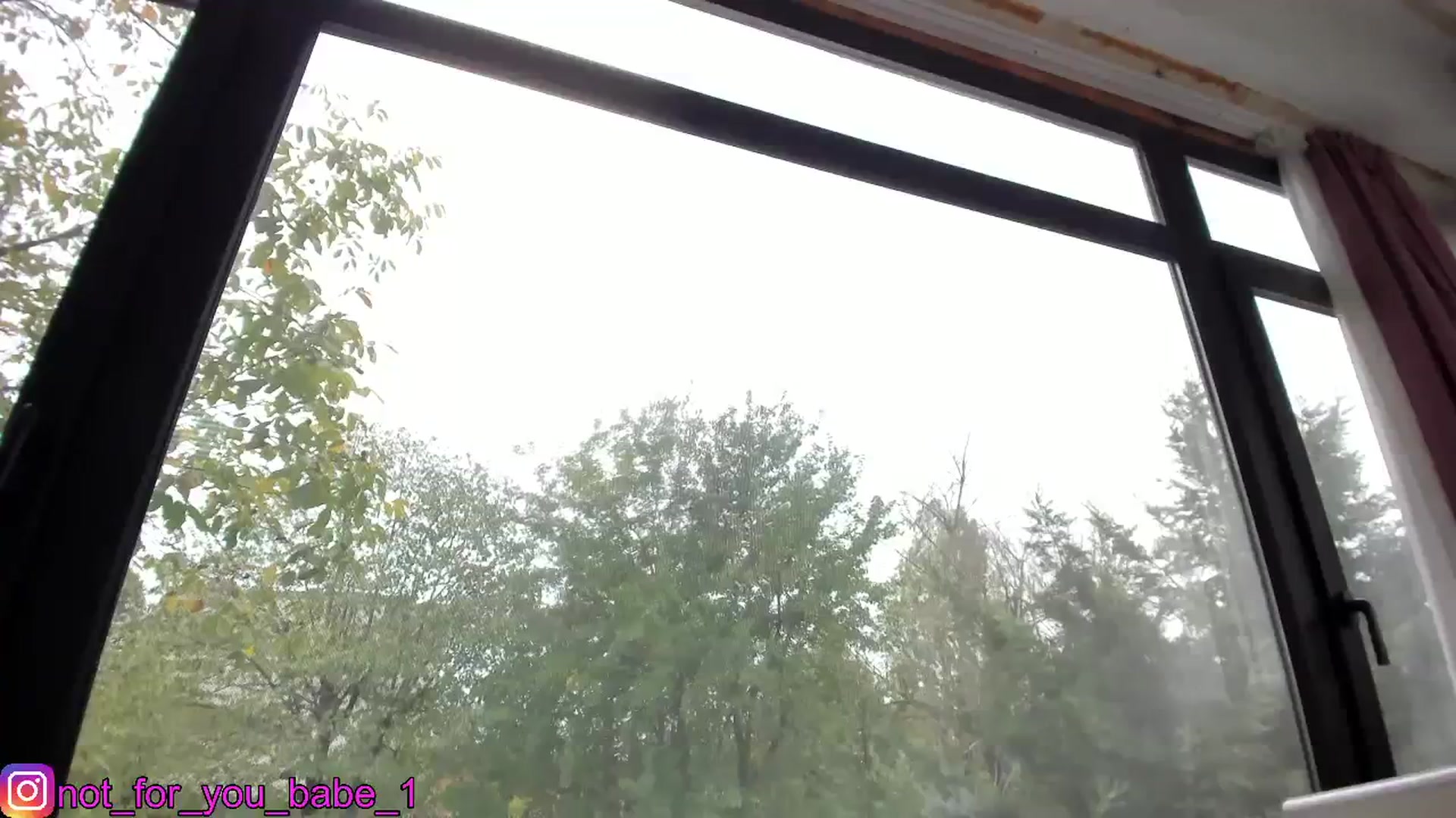 Gallery image thumbnail from m1ss_Ariana's myfreecams stream on, 11/08/2023, 11:37 image 16 of 20