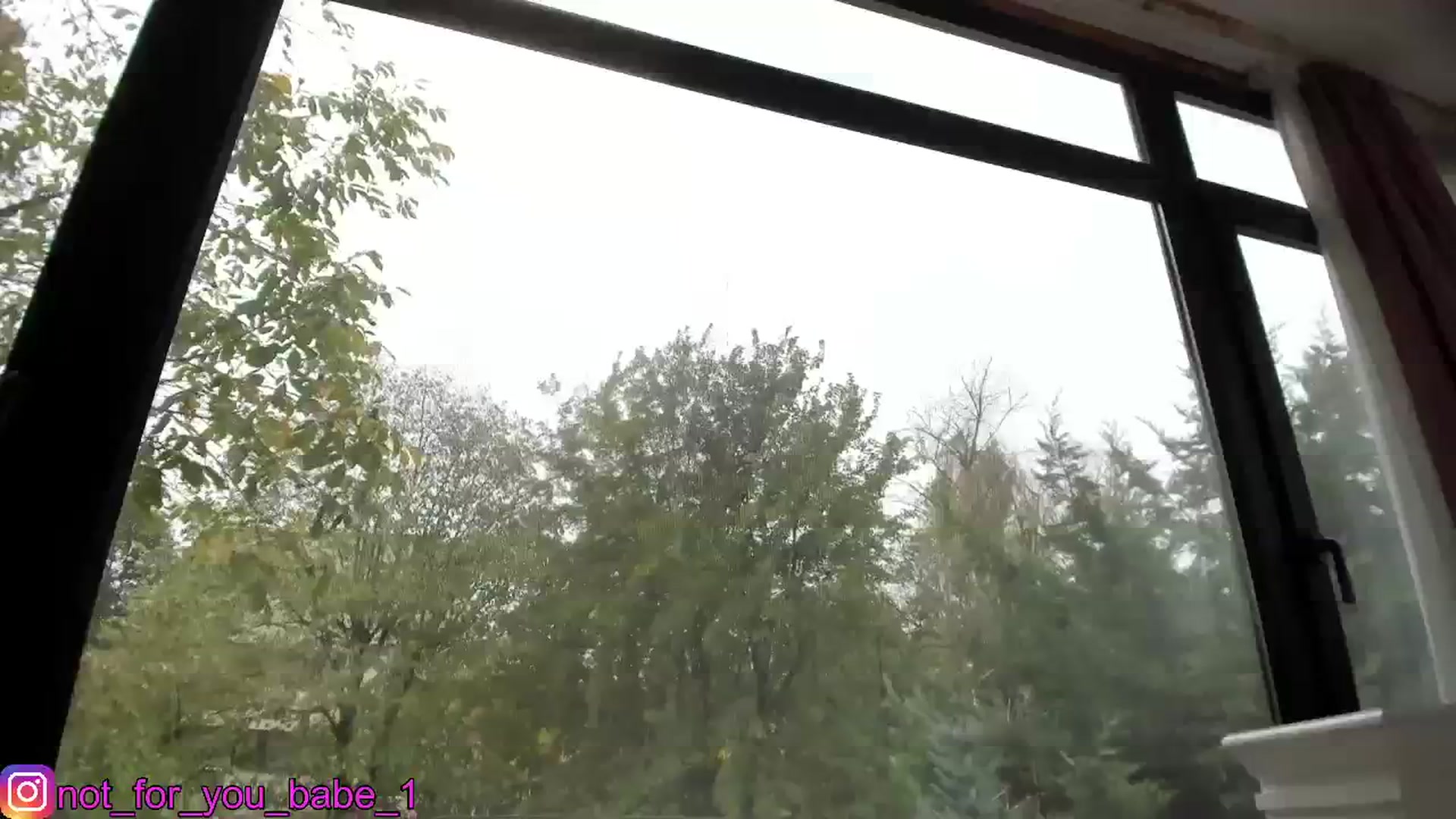Gallery image thumbnail from m1ss_Ariana's myfreecams stream on, 11/08/2023, 12:05 image 3 of 20