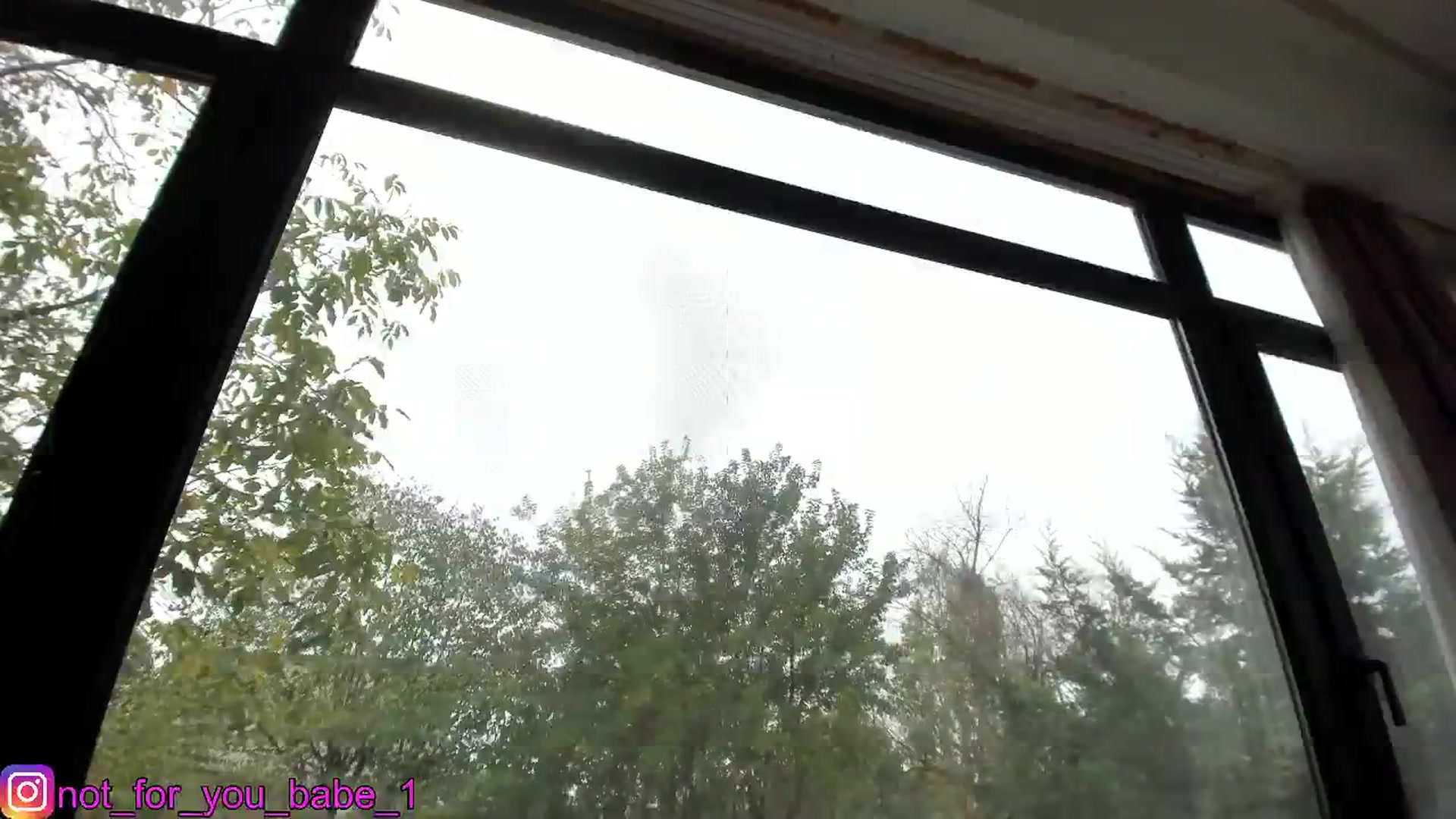 Gallery image thumbnail from m1ss_Ariana's myfreecams stream on, 11/08/2023, 13:08 image 11 of 20