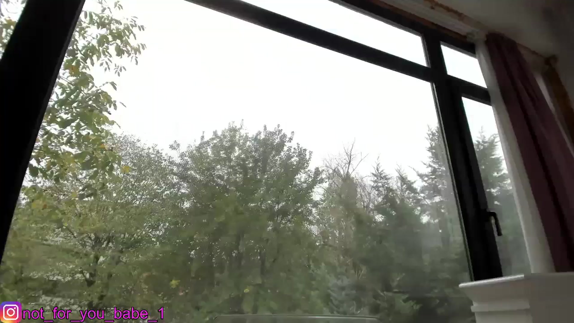 Gallery image thumbnail from m1ss_Ariana's myfreecams stream on, 11/08/2023, 13:08 image 1 of 20
