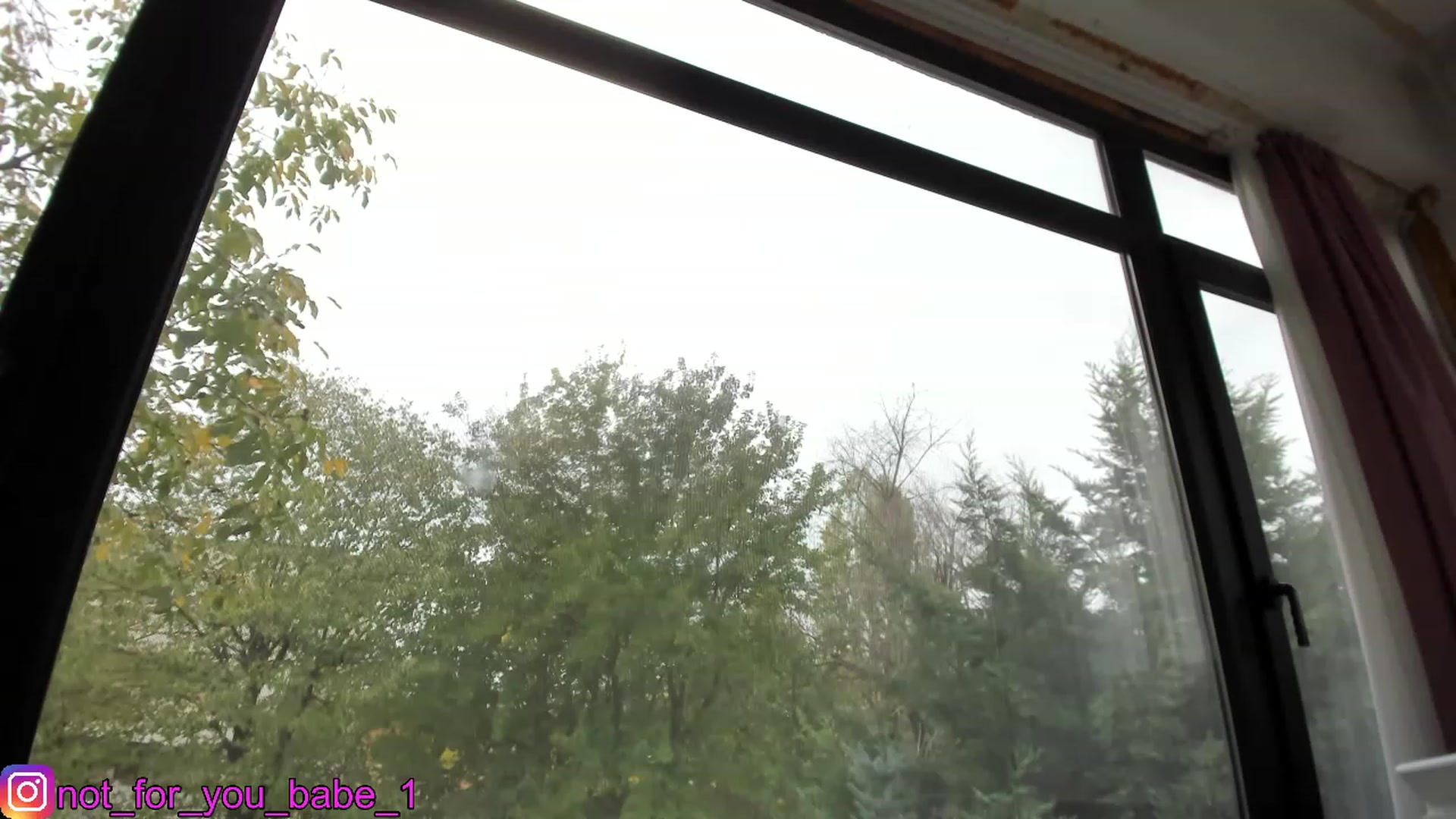 Gallery image thumbnail from m1ss_Ariana's myfreecams stream on, 11/11/2023, 11:57 image 6 of 20