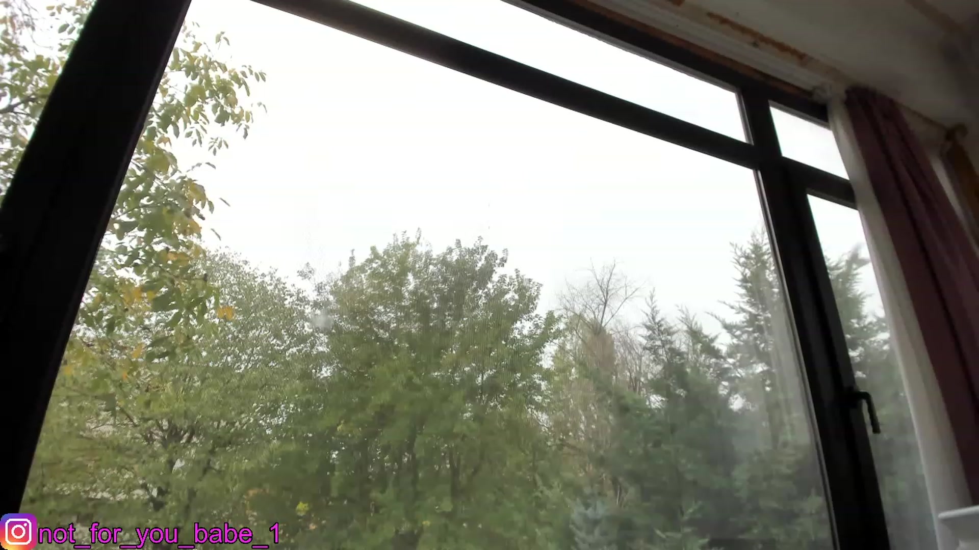 Gallery image thumbnail from m1ss_Ariana's myfreecams stream on, 11/11/2023, 11:57 image 5 of 20