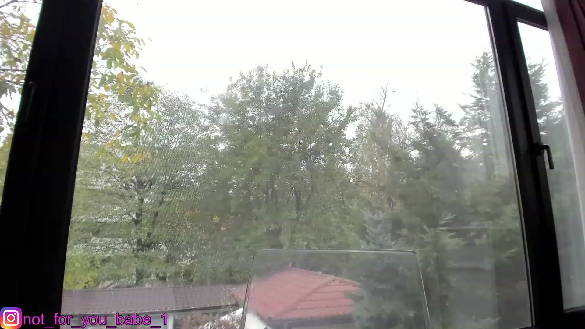 Gallery image thumbnail from m1ss_Ariana's myfreecams stream on, 11/15/2023, 12:36 image 2 of 20