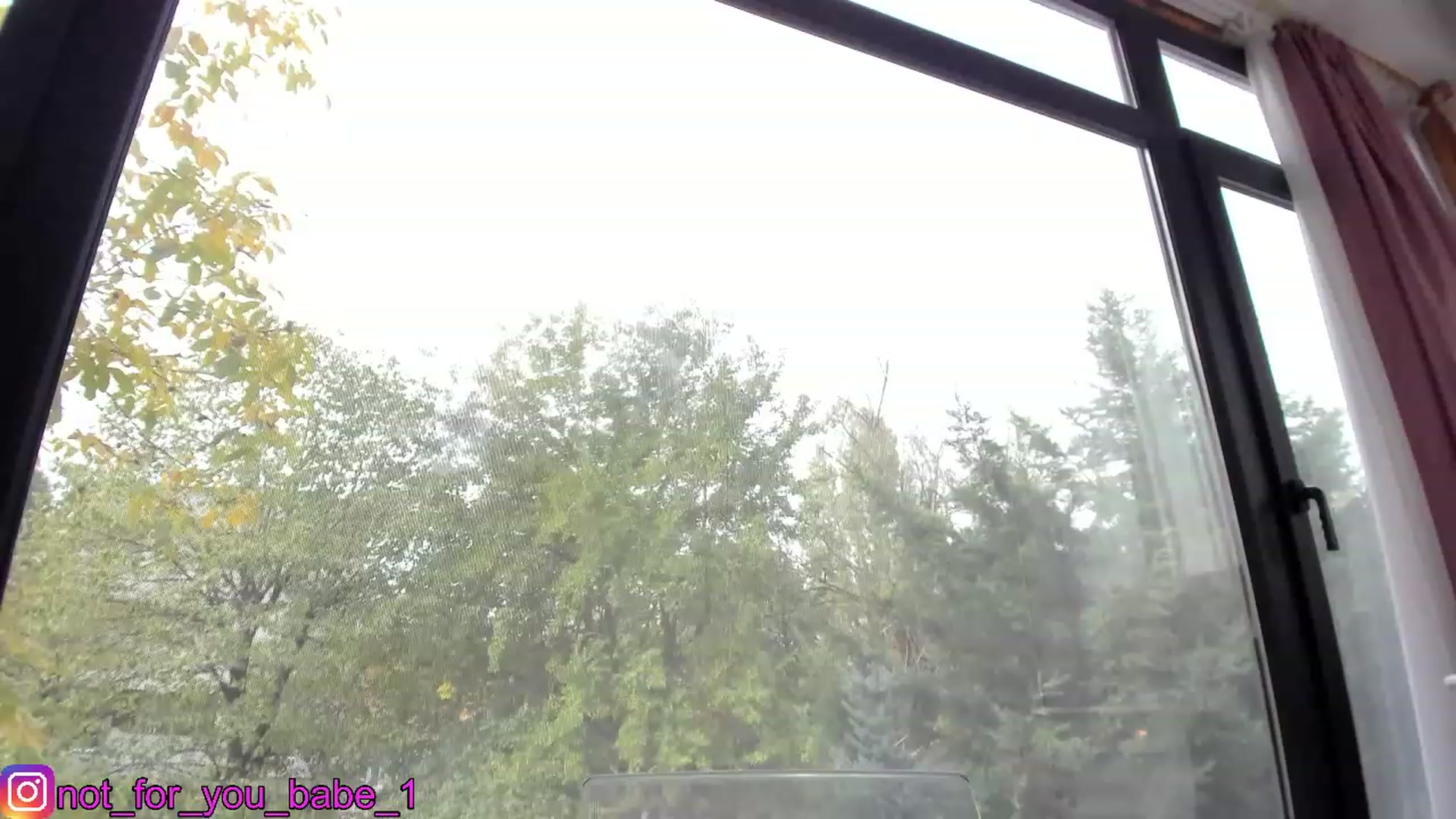 Gallery image thumbnail from m1ss_Ariana's myfreecams stream on, 11/17/2023, 10:58 image 5 of 20