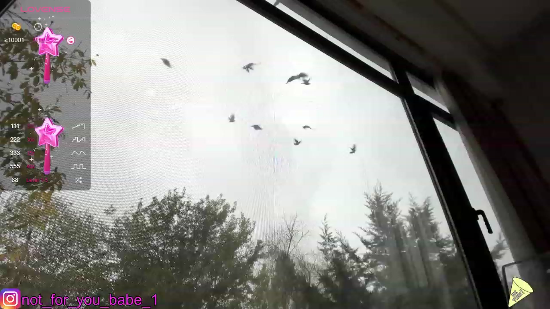 Gallery image thumbnail from m1ss_Ariana's myfreecams stream on, 11/18/2023, 08:51 image 15 of 20