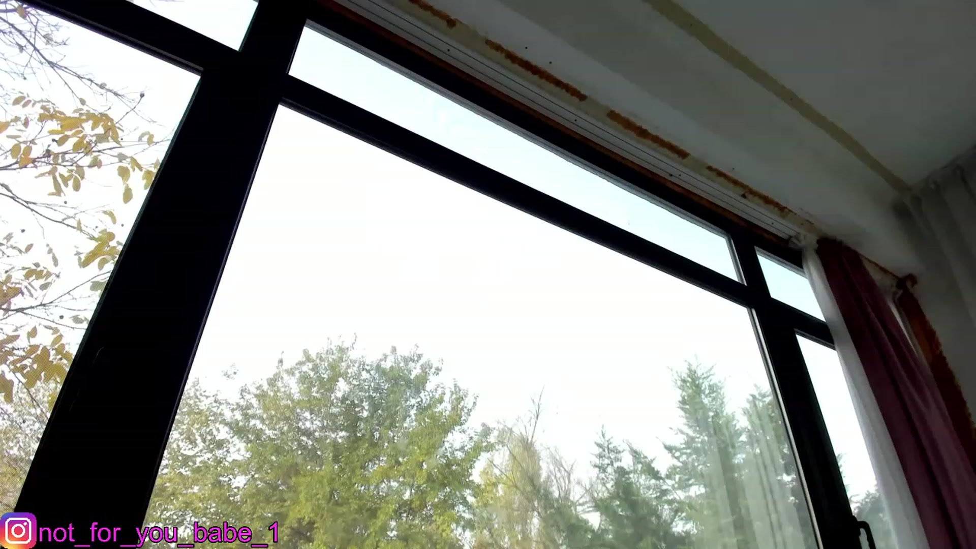 Gallery image thumbnail from m1ss_Ariana's myfreecams stream on, 11/23/2023, 10:04 image 6 of 20