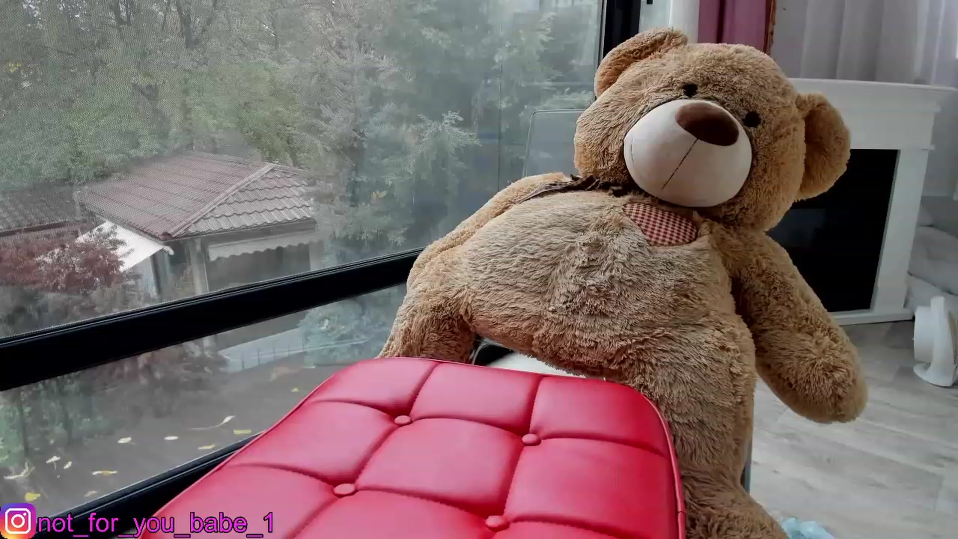 Gallery image thumbnail from m1ss_Ariana's myfreecams stream on, 11/25/2023, 12:11 image 4 of 20