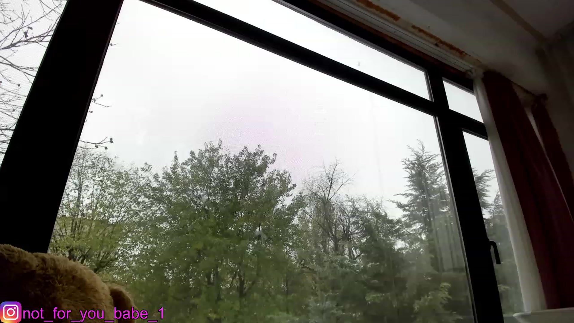 Gallery image thumbnail from m1ss_Ariana's myfreecams stream on, 11/26/2023, 08:15 image 14 of 20