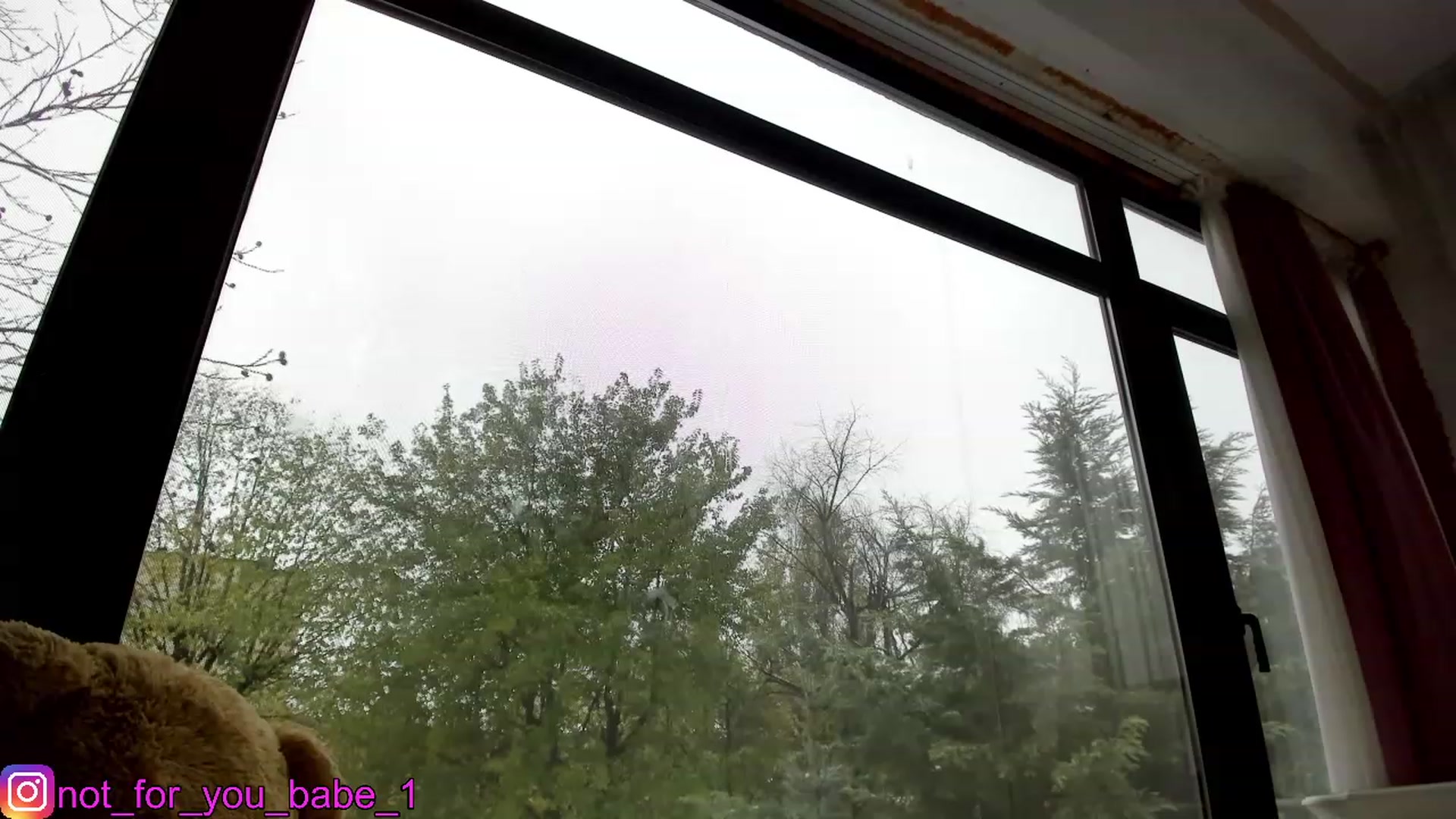Gallery image thumbnail from m1ss_Ariana's myfreecams stream on, 11/26/2023, 08:15 image 19 of 20