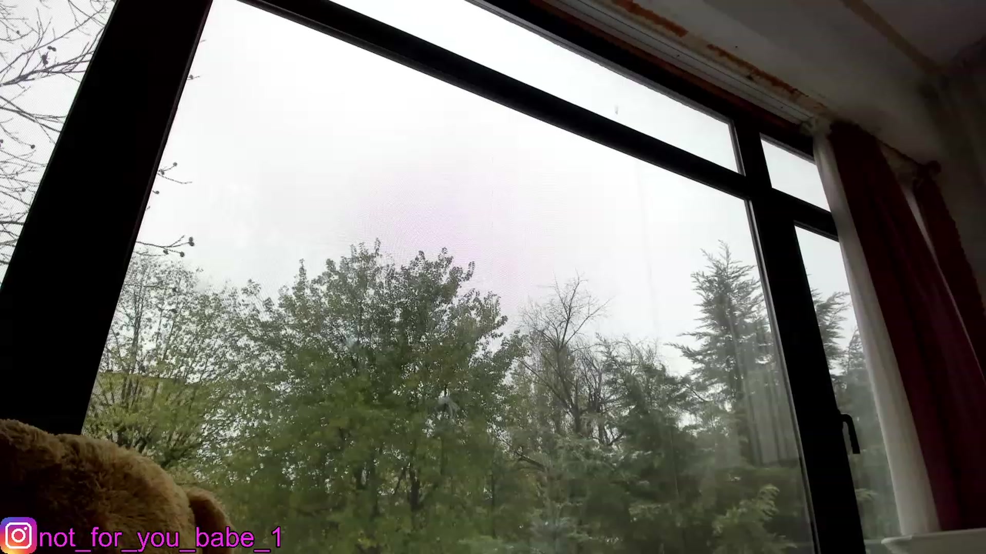 Gallery image thumbnail from m1ss_Ariana's myfreecams stream on, 11/26/2023, 08:15 image 15 of 20