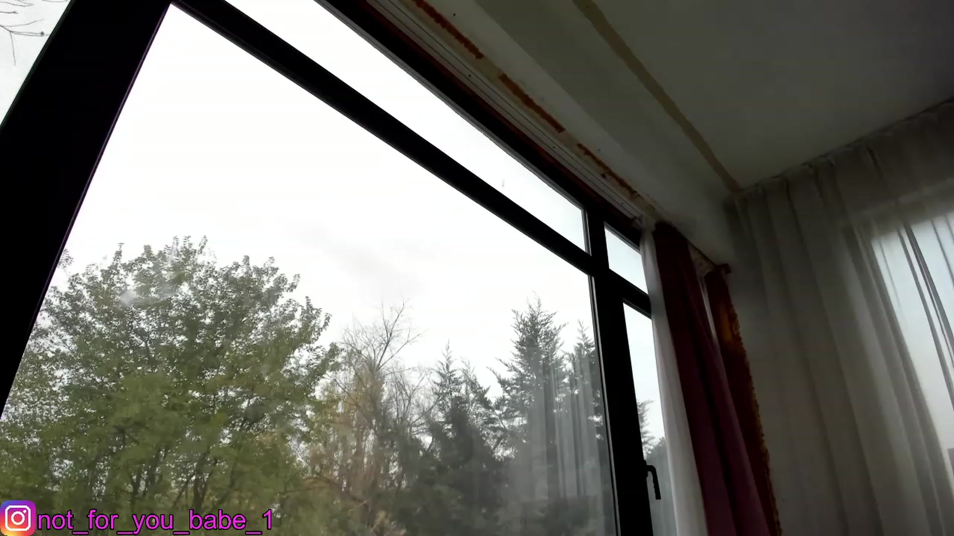 Gallery image thumbnail from m1ss_Ariana's myfreecams stream on, 12/02/2023, 10:34 image 12 of 20