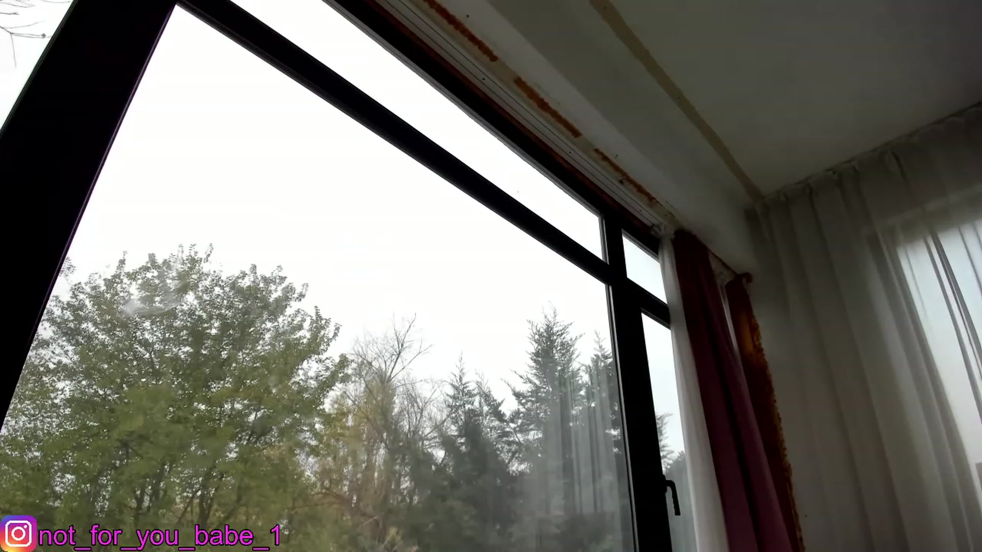 Gallery image thumbnail from m1ss_Ariana's myfreecams stream on, 12/02/2023, 10:34 image 15 of 20