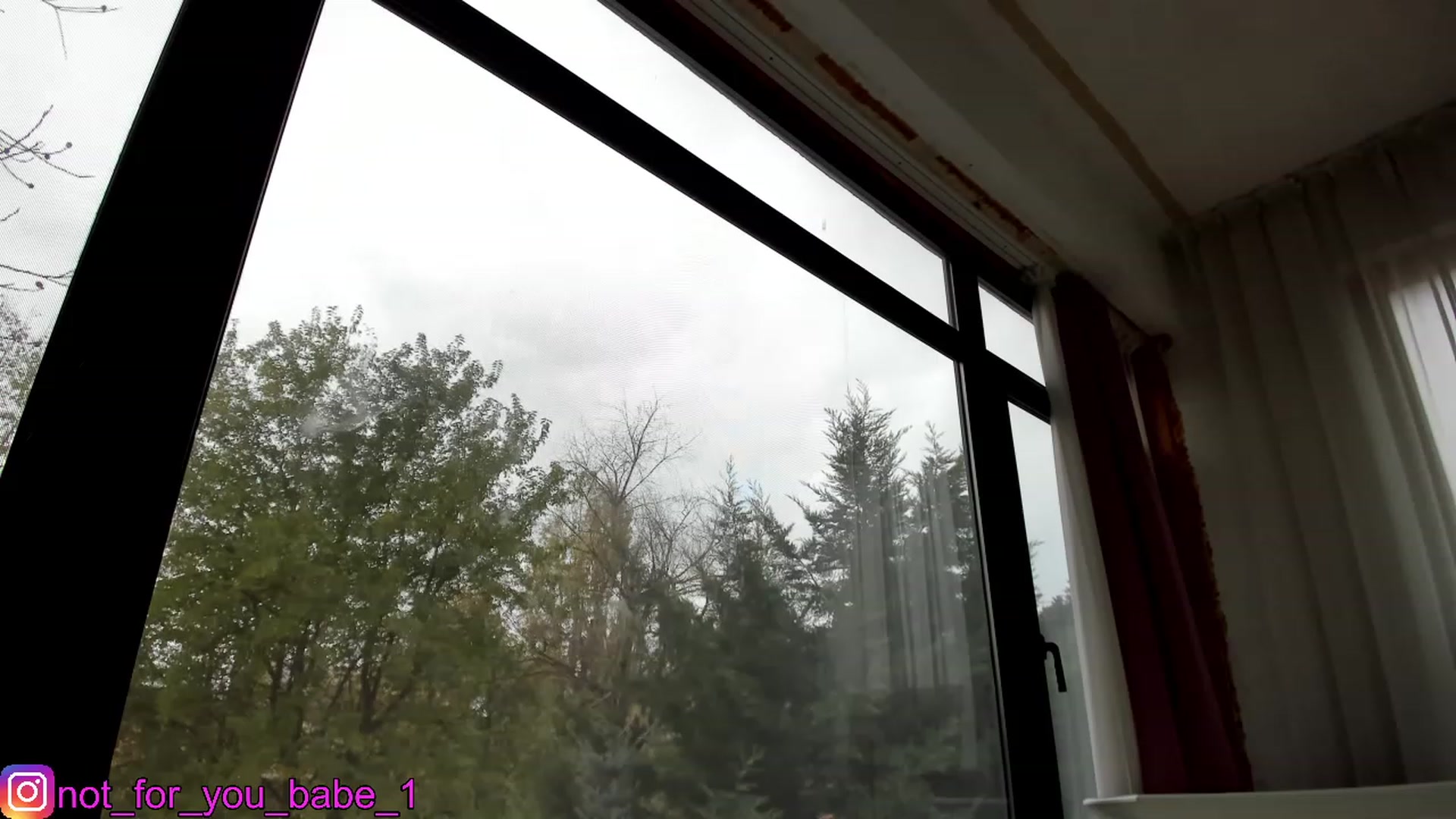 Gallery image thumbnail from m1ss_Ariana's myfreecams stream on, 12/02/2023, 13:29 image 10 of 20