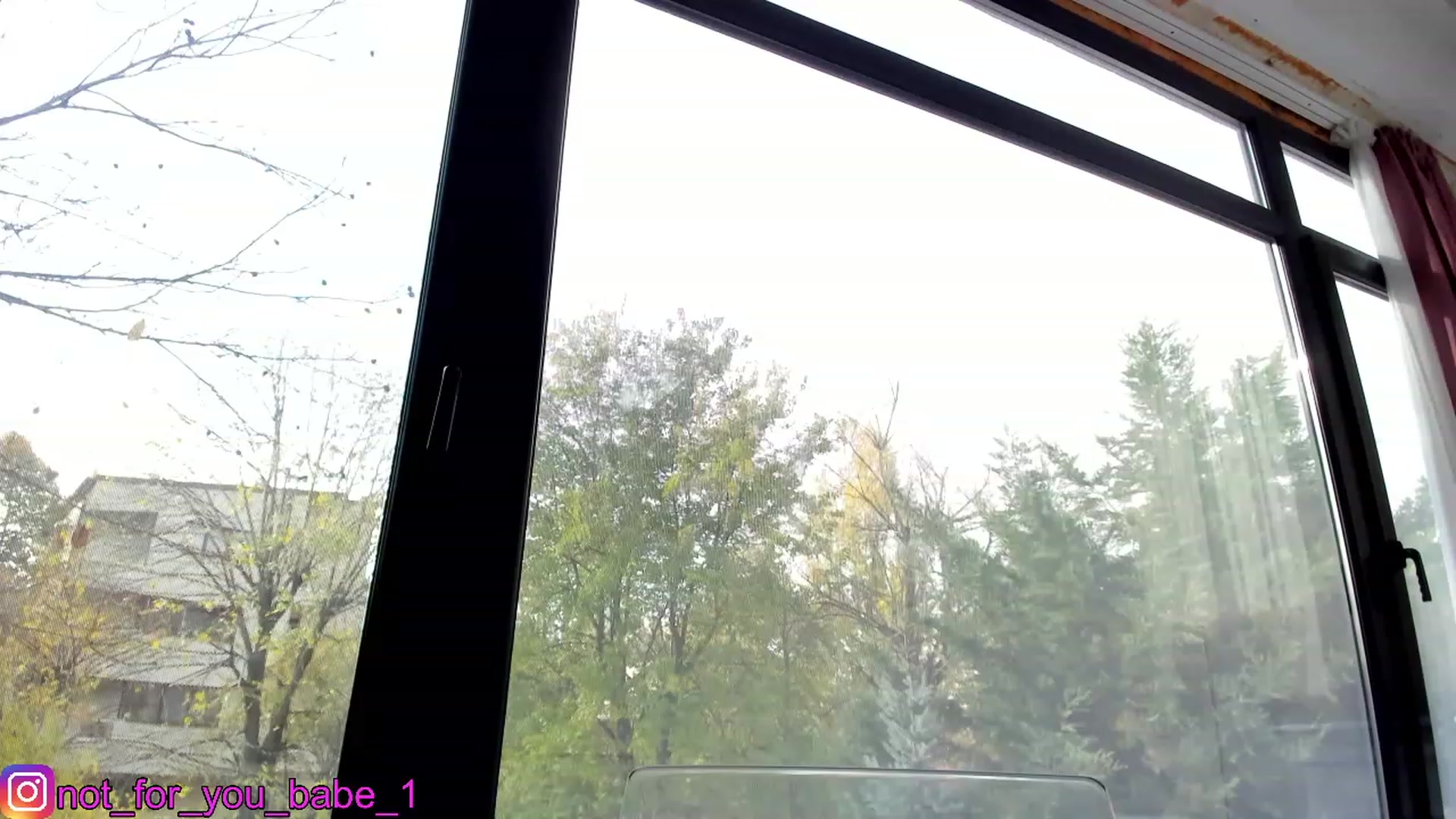 Gallery image thumbnail from m1ss_Ariana's myfreecams stream on, 12/04/2023, 11:45 image 18 of 20